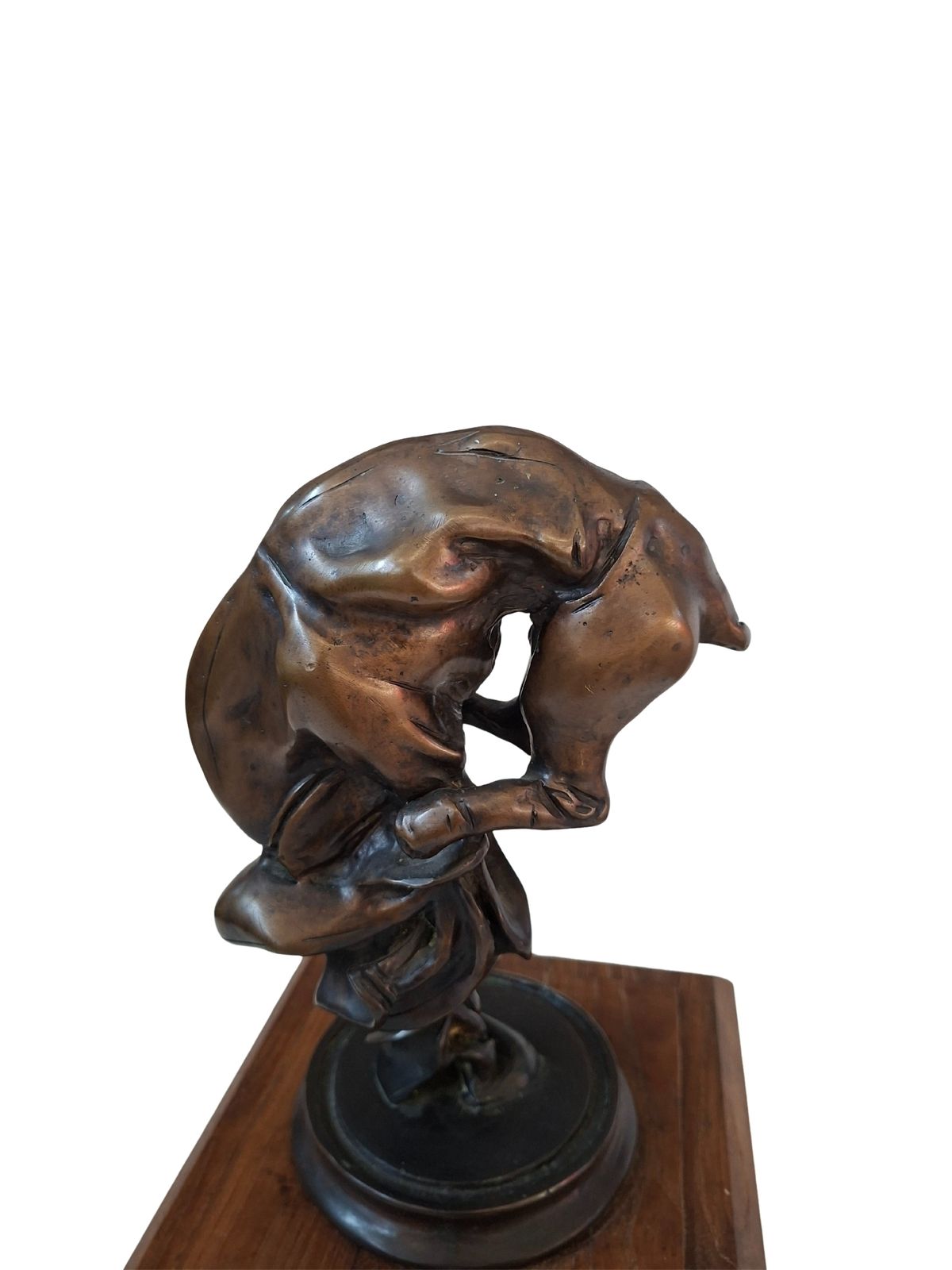 Scultura In Bronzo: "Cavallo In Torsione"   Camillo Catelli photo 2177.24