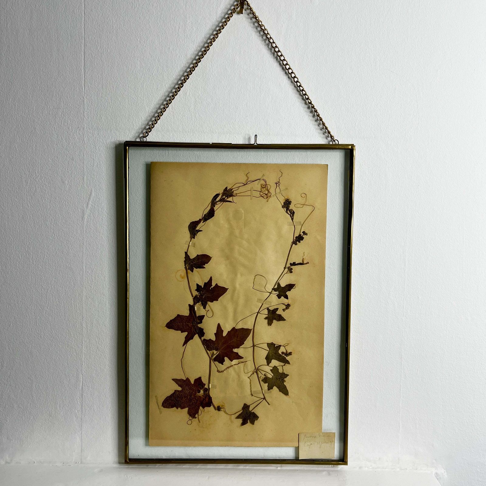 Antique French Herbiere Original In Nkuku Frame