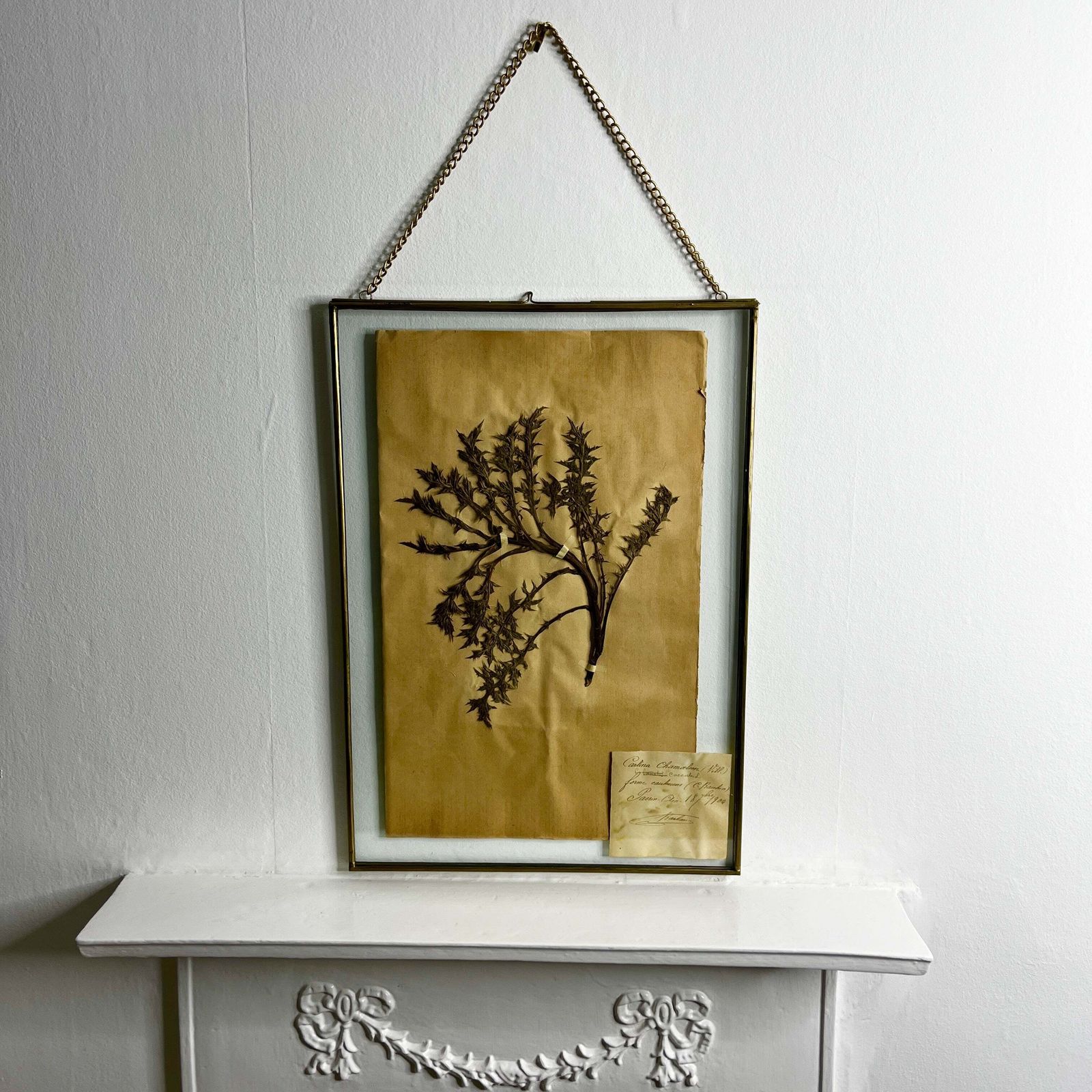 Antique French Herbiere Original In Nkuku Frame photo furniture
