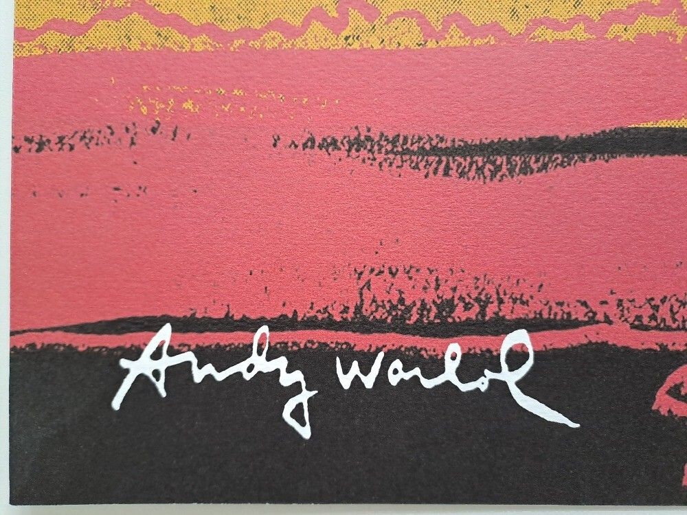 1980s Andy Warhol Signed Limited Edition Lithograph Vesuvius photo furniture