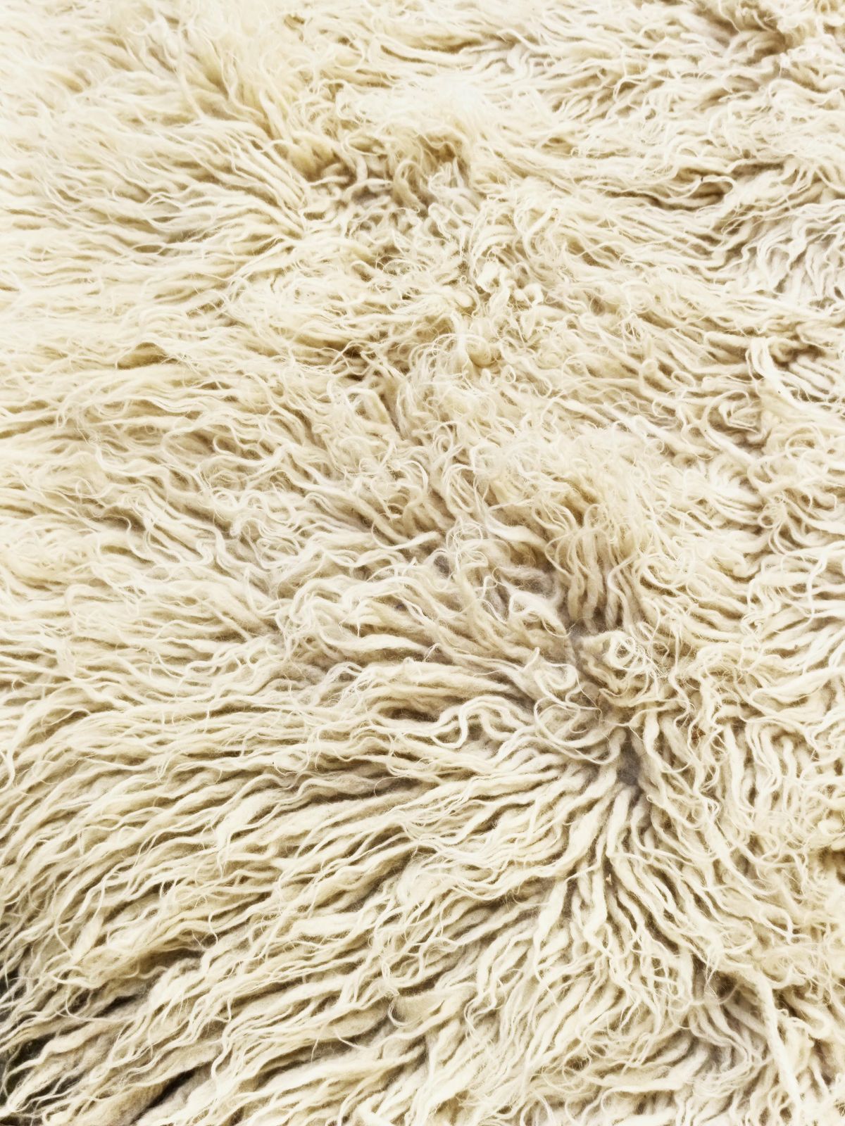 Tulu Rug In Soft Ivory Wool, Italy 1970s photo vinterior