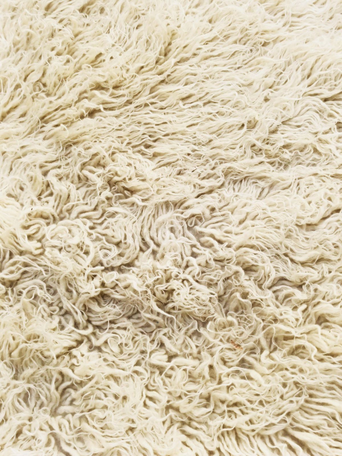 Tulu Rug In Soft Ivory Wool, Italy 1970s photo buy