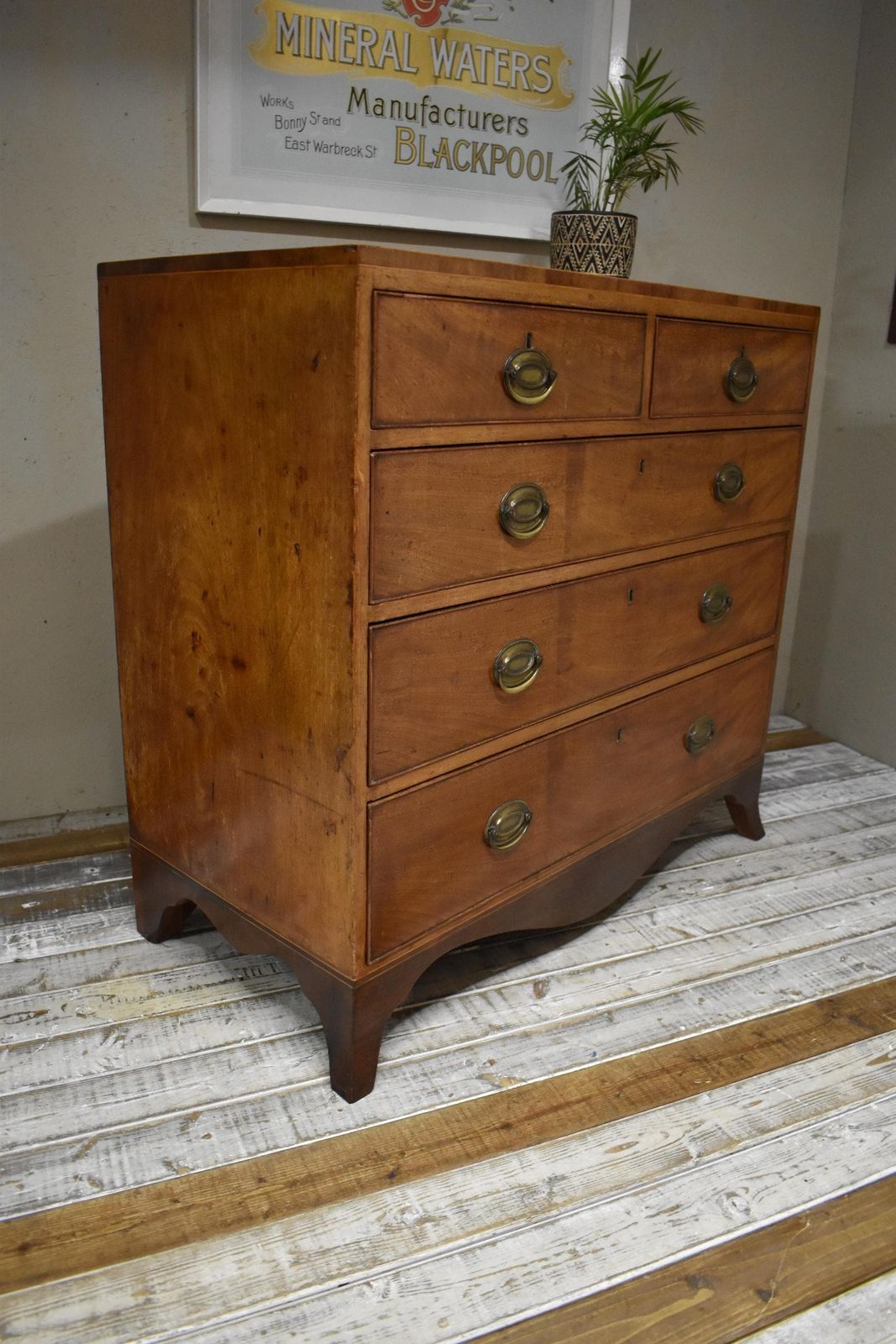 Antique Regency Victorian Mahogany Chest Of Drawers photo Furniture