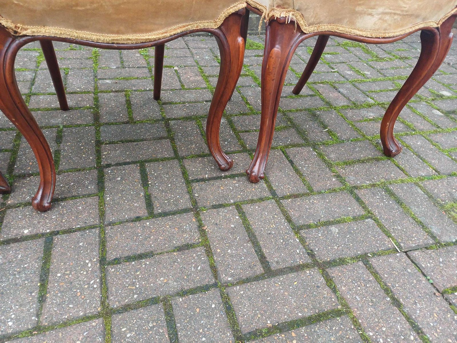 photo buy Set Of Four Antique Victorian Mahogany Balloon Back Dining Chairs High Quality Frames Vintage Original Velvet Upholstery
