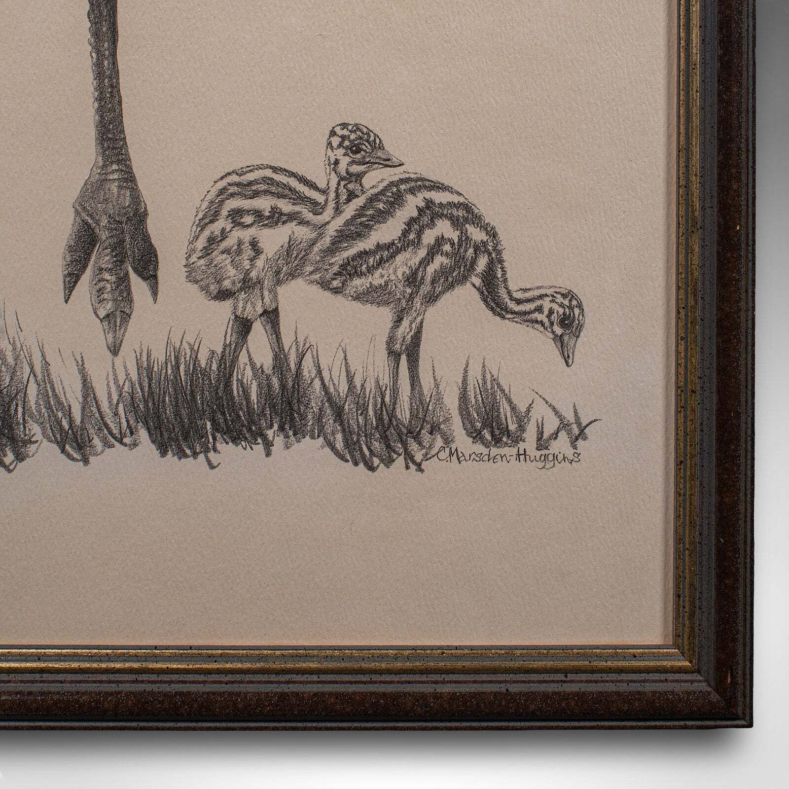 Vintage Wildlife Picture Trio, Australian Interest, Framed Prints, Animal Art photo 1004.0