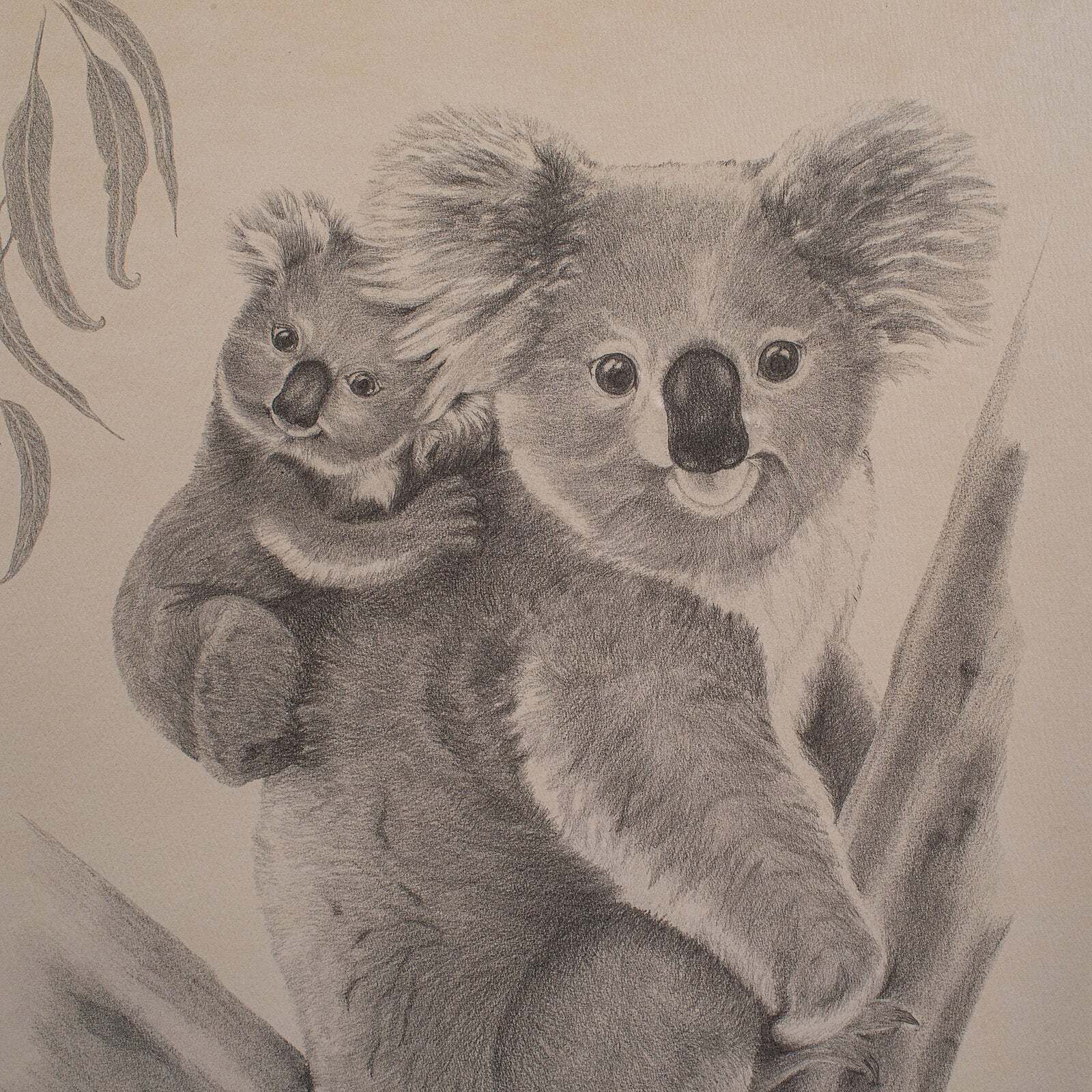 Vintage Wildlife Picture Trio, Australian Interest, Framed Prints, Animal Art photo buy