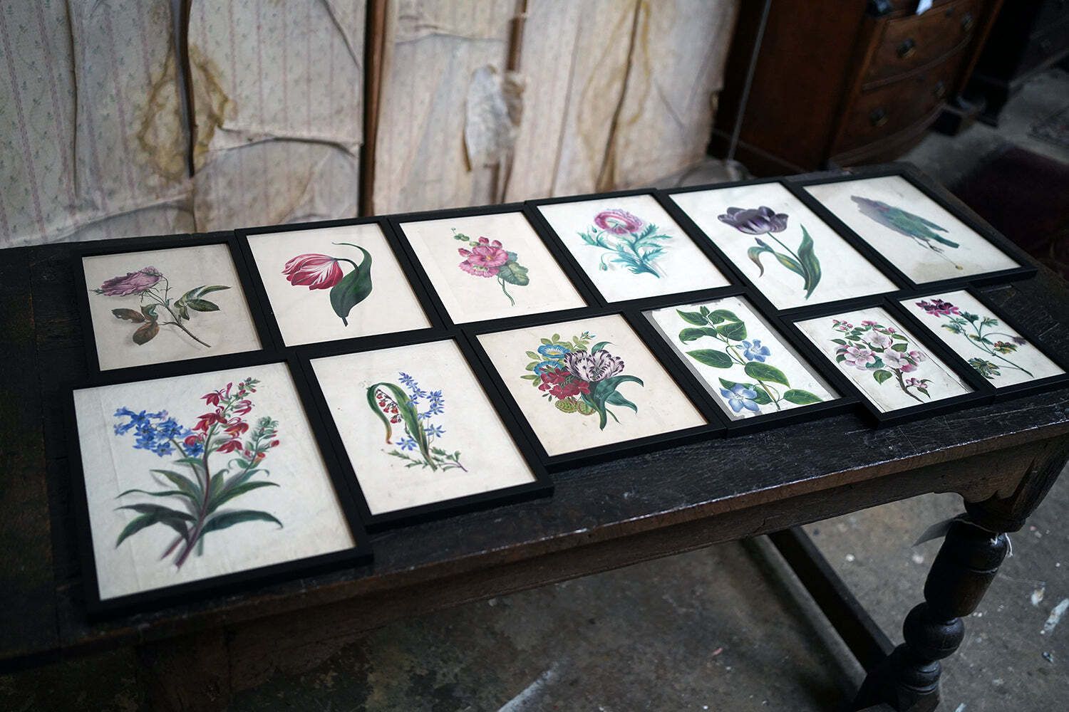 A Group Of Twelve Framed Late 19thc Botanical Watercolours C.1900 photo 2200.0