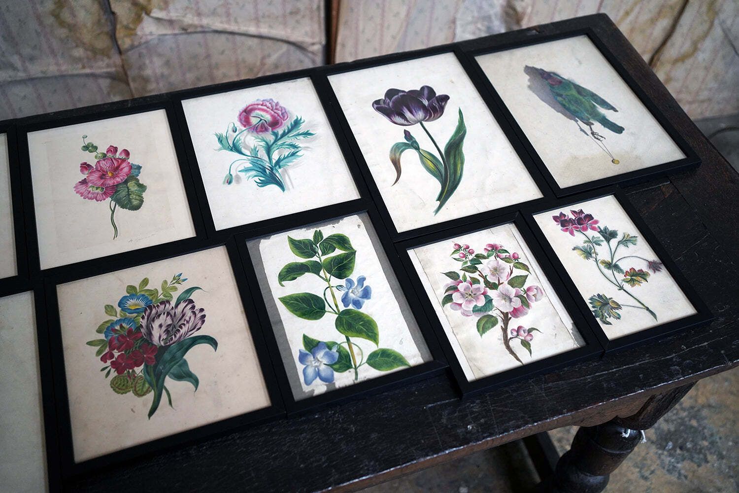 A Group Of Twelve Framed Late 19thc Botanical Watercolours C.1900 photo buy