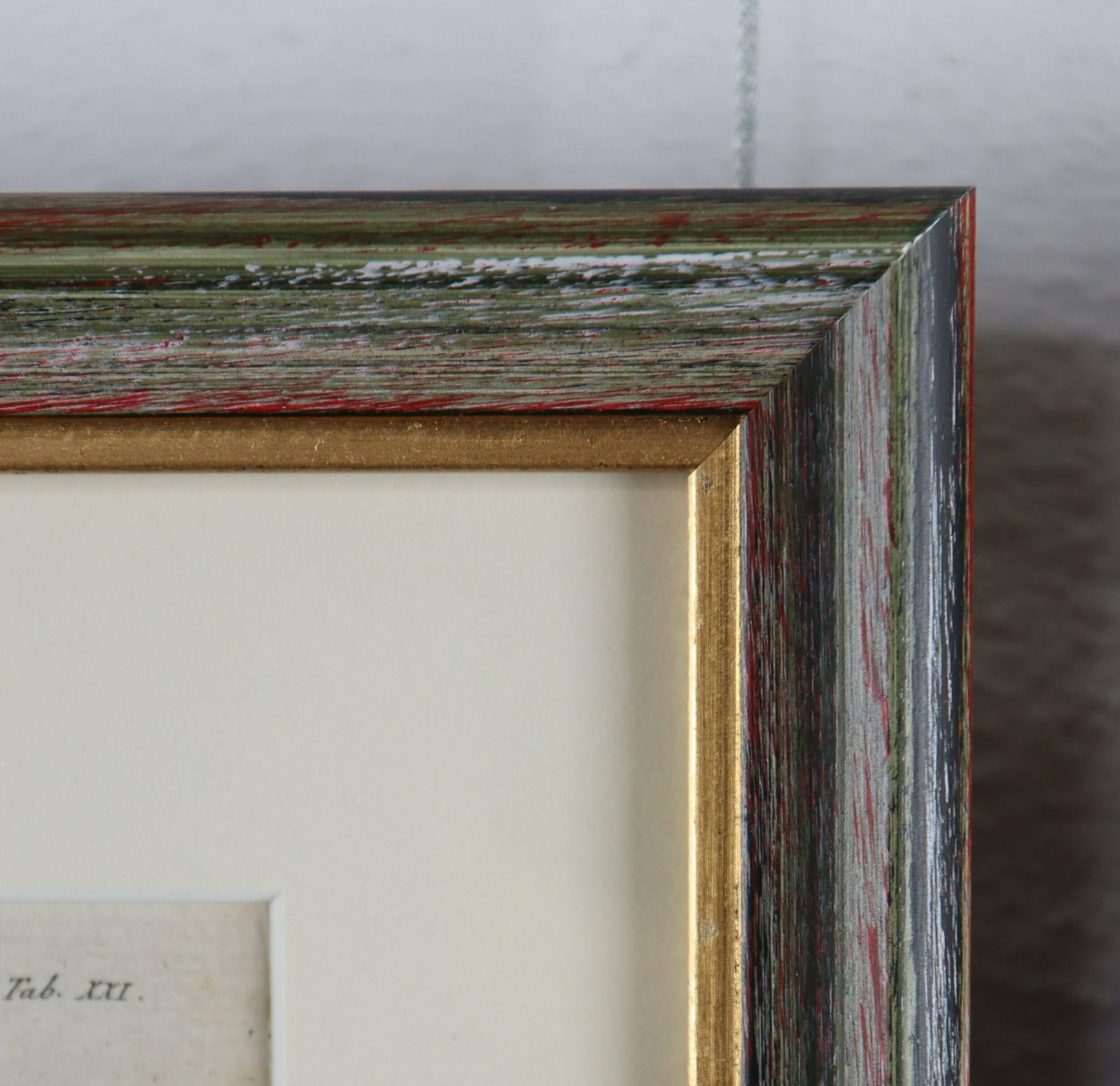 Set Of Three Exceptional Carl Gustav Jablonsky Coloured Butterfly Engravings photo 960.0