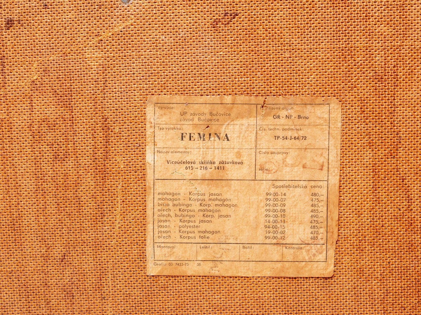 Paar Mid Century Nachtkastjes Femina, Tsjecho Slowakije, Jaren 1960 photo 893.0