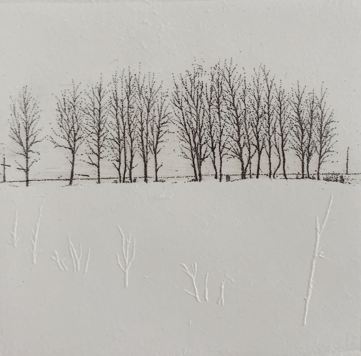 Elżbieta Bocianowska Boscage, Landscape Figurative Print, Miniature, Trees, Polish Artist 2019