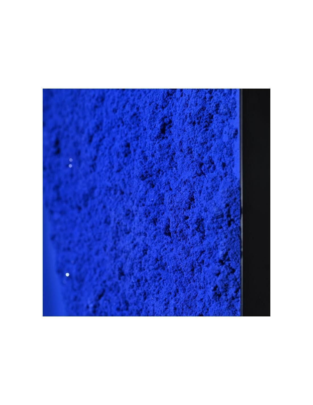 Monochrome Painting, Klein Blue, Contemporary Work, Xxist Century. photo Art