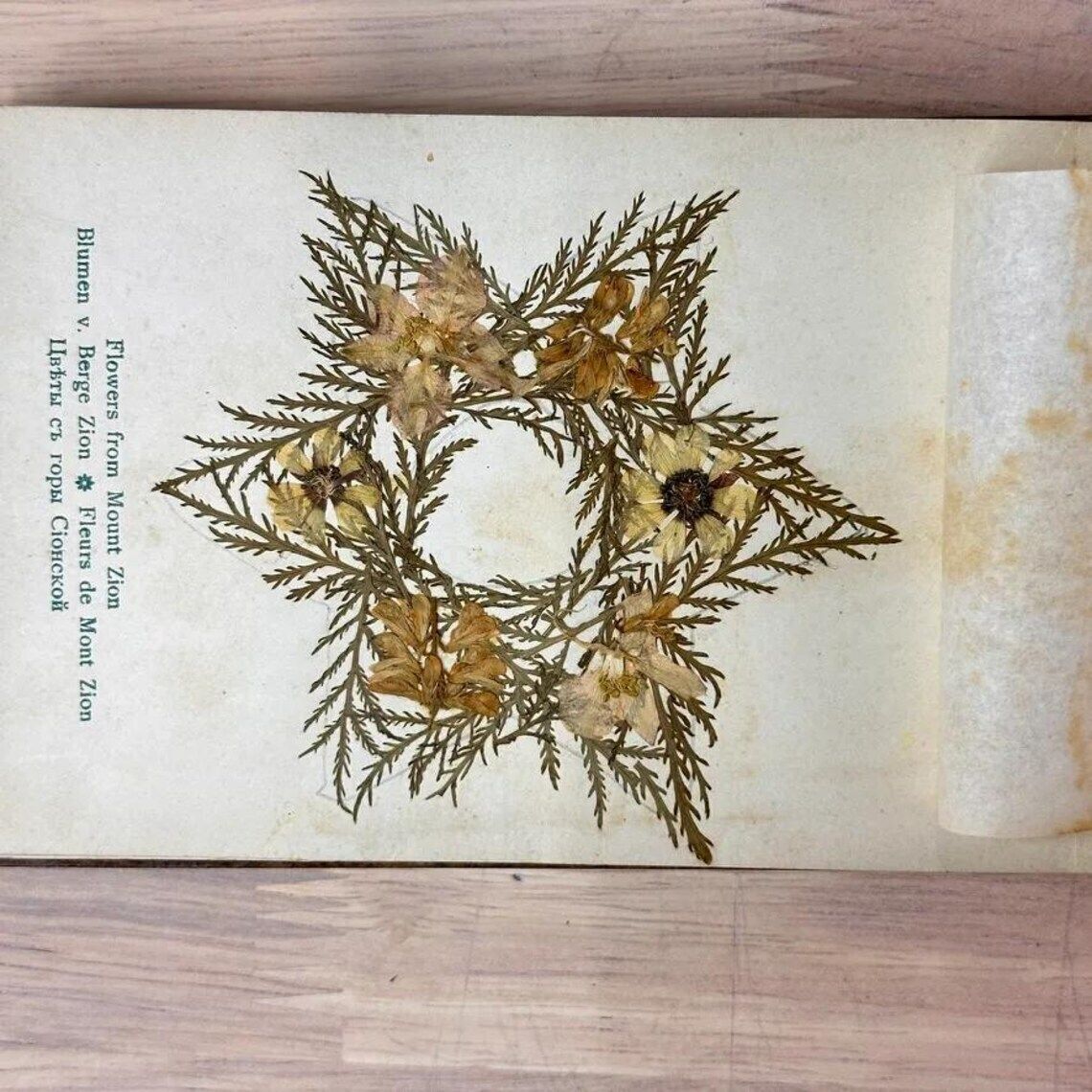 Antique Olive Wood Holy Land Flower Book C1910 Jerusalem Herbarium Views Judaica photo furniture