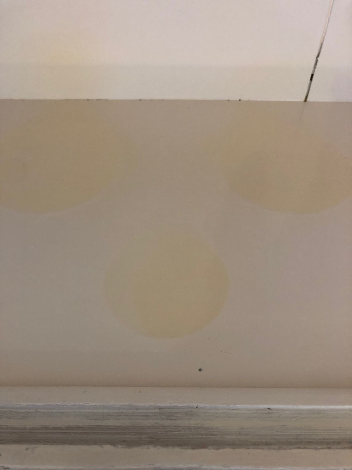 1950s 60s Kitchen Wall Cupboard Glass Sliding Doors Mid Century photo buy