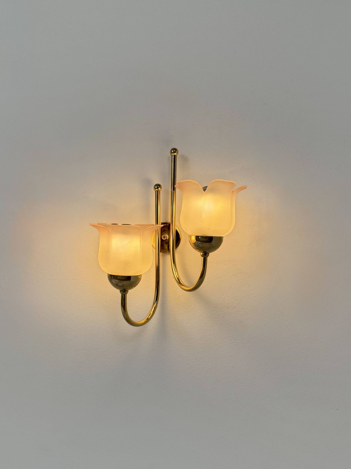 Vintage Wall Light, Brass And Frosted Pink Moulded Glass, France, 1980. photo buy
