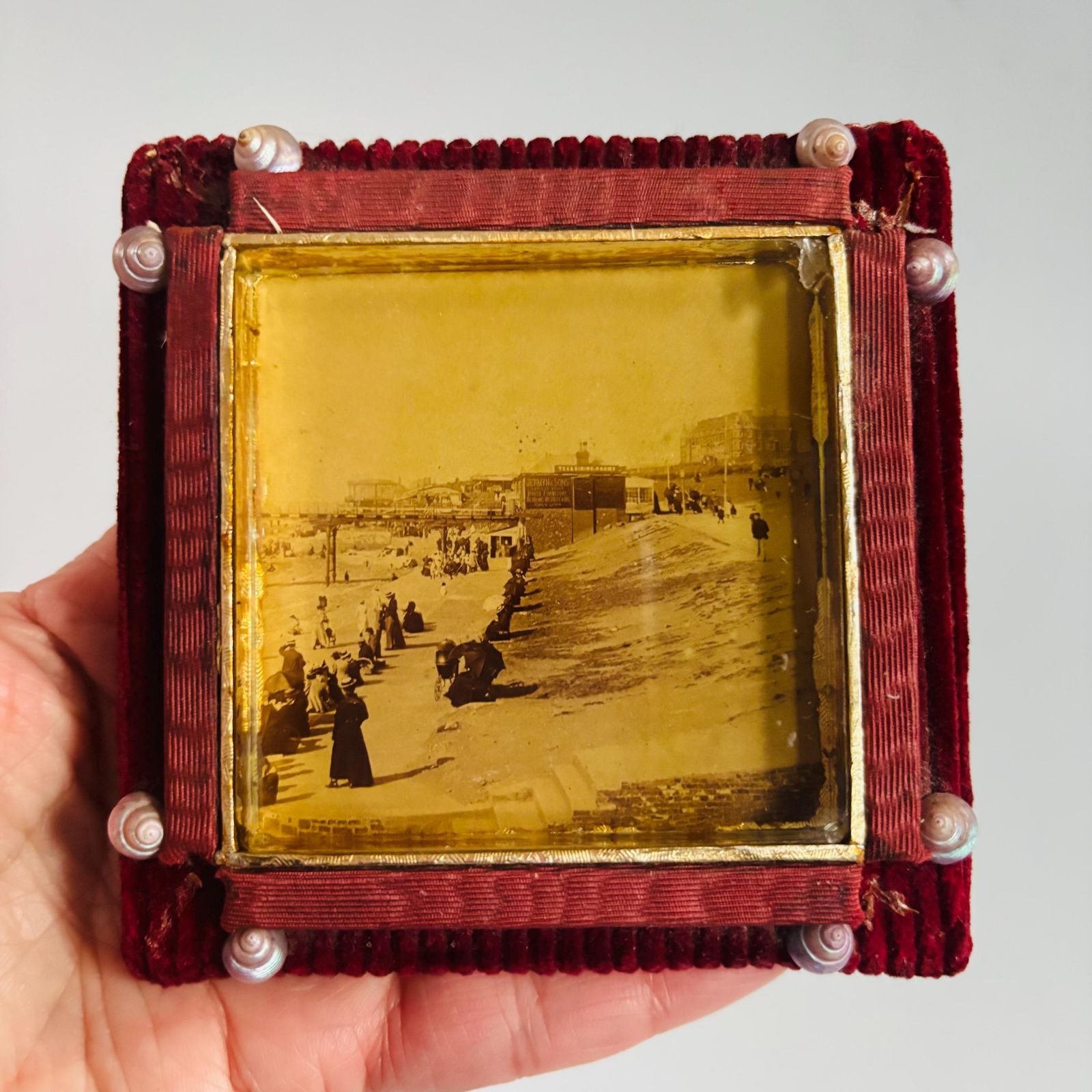 Antique Victorian Seaside Photo: Gold Gilt Frame, Velvet & Seashells photo for sale
