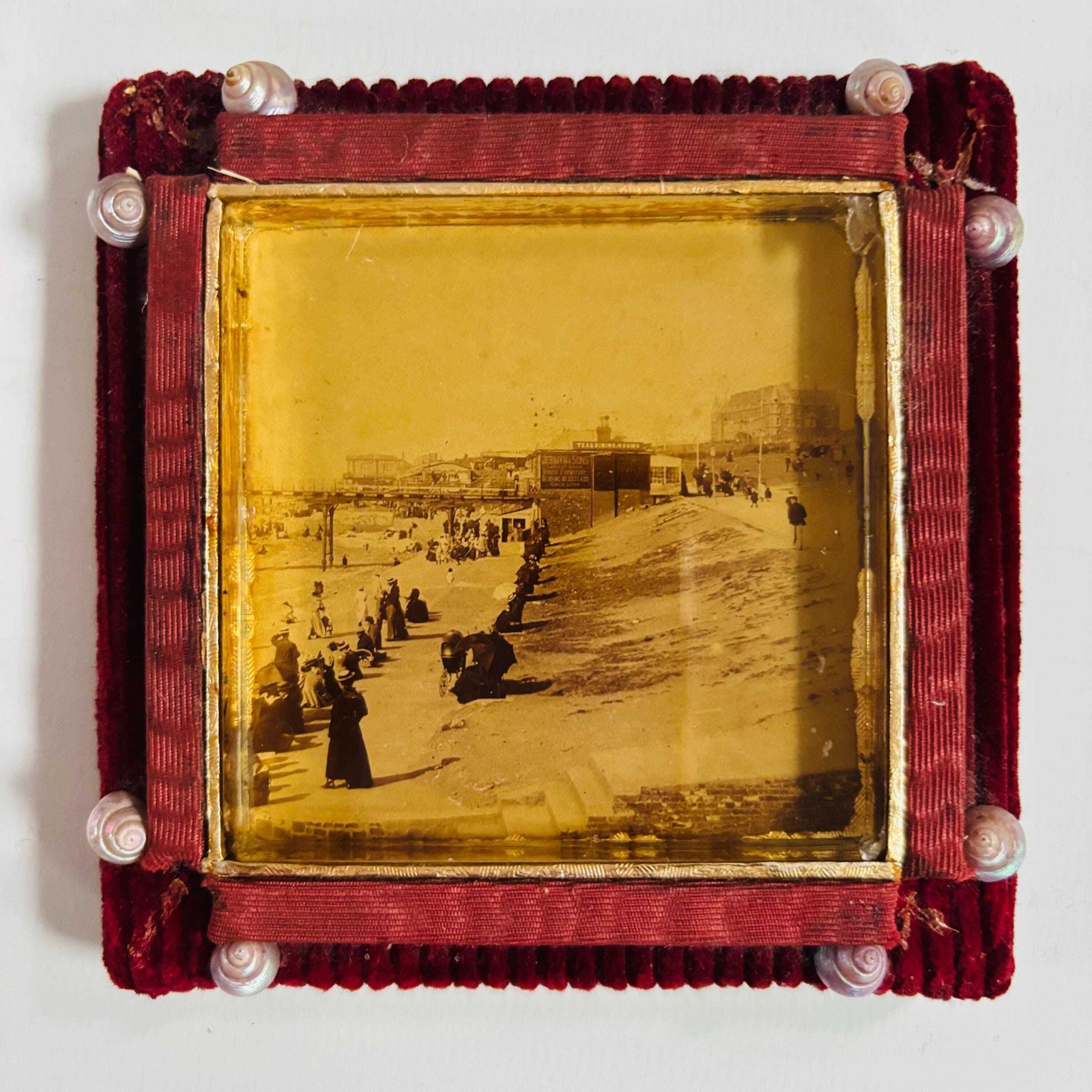 Antique Victorian Seaside Photo: Gold Gilt Frame, Velvet & Seashells photo 134.0