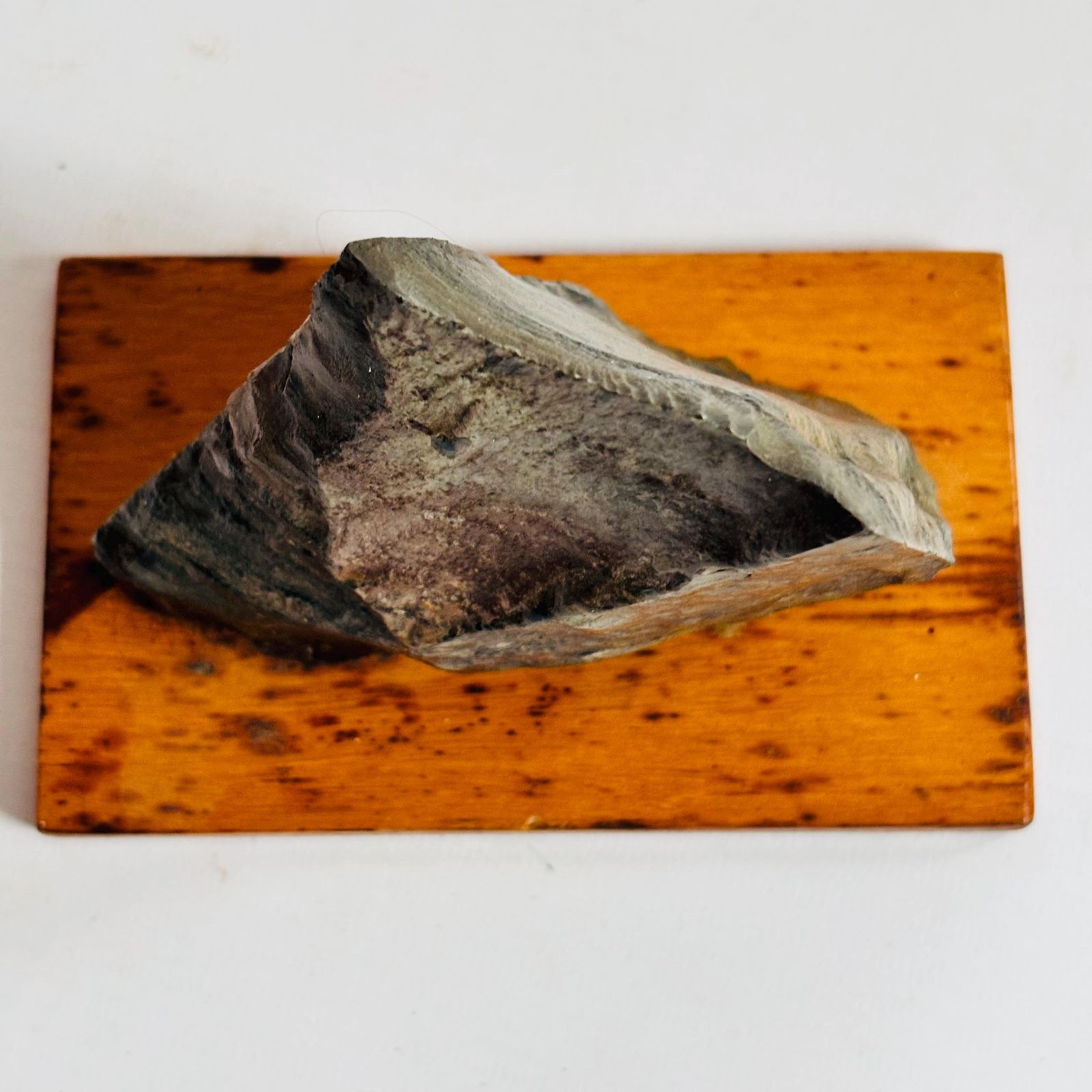photo furniture Antique Pre Cambrian Volcanic Rock Specimen: Charnian Group On Wooden Base C1950s