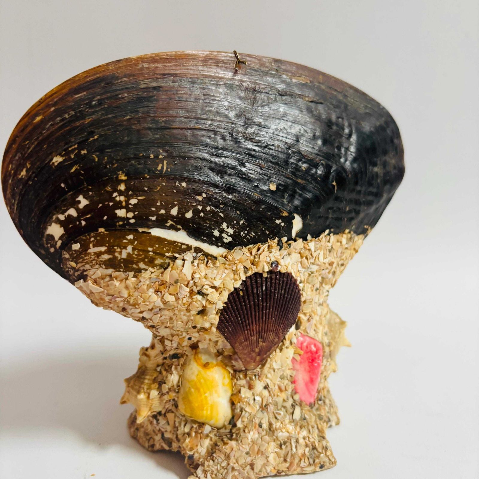 Antique French Seashell Inkwell: Alger Nautical Folk Art, 1920s photo Home Decor