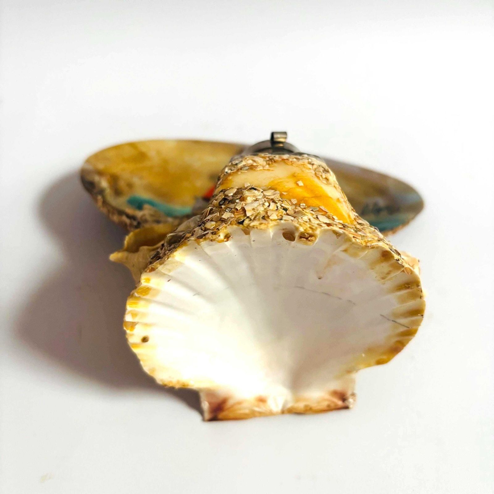 Antique French Seashell Inkwell: Alger Nautical Folk Art Barometer photo for sale
