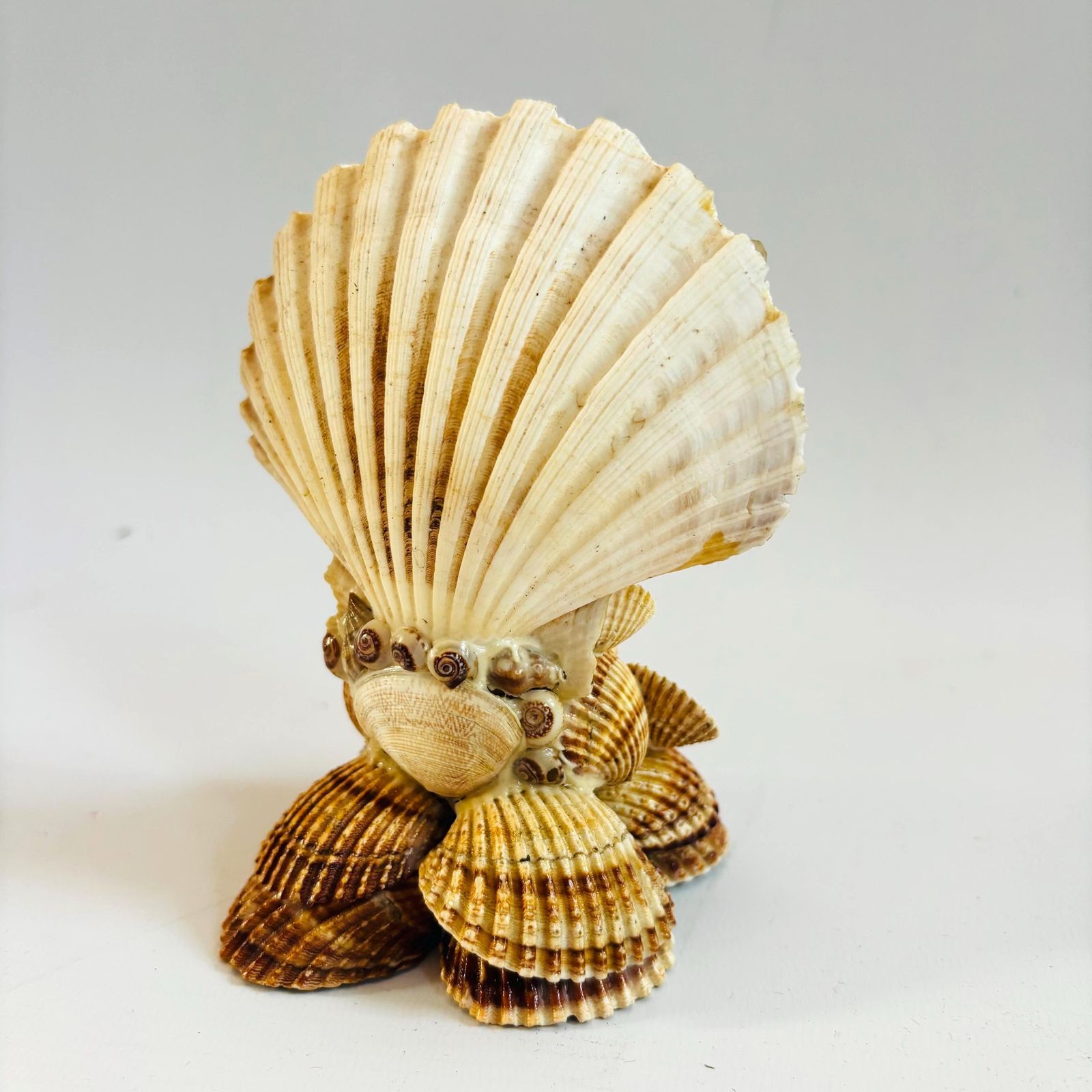 Antique Shell Shrine: Our Lady Of Montserrat, Black Madonna Folk Art photo 89.0