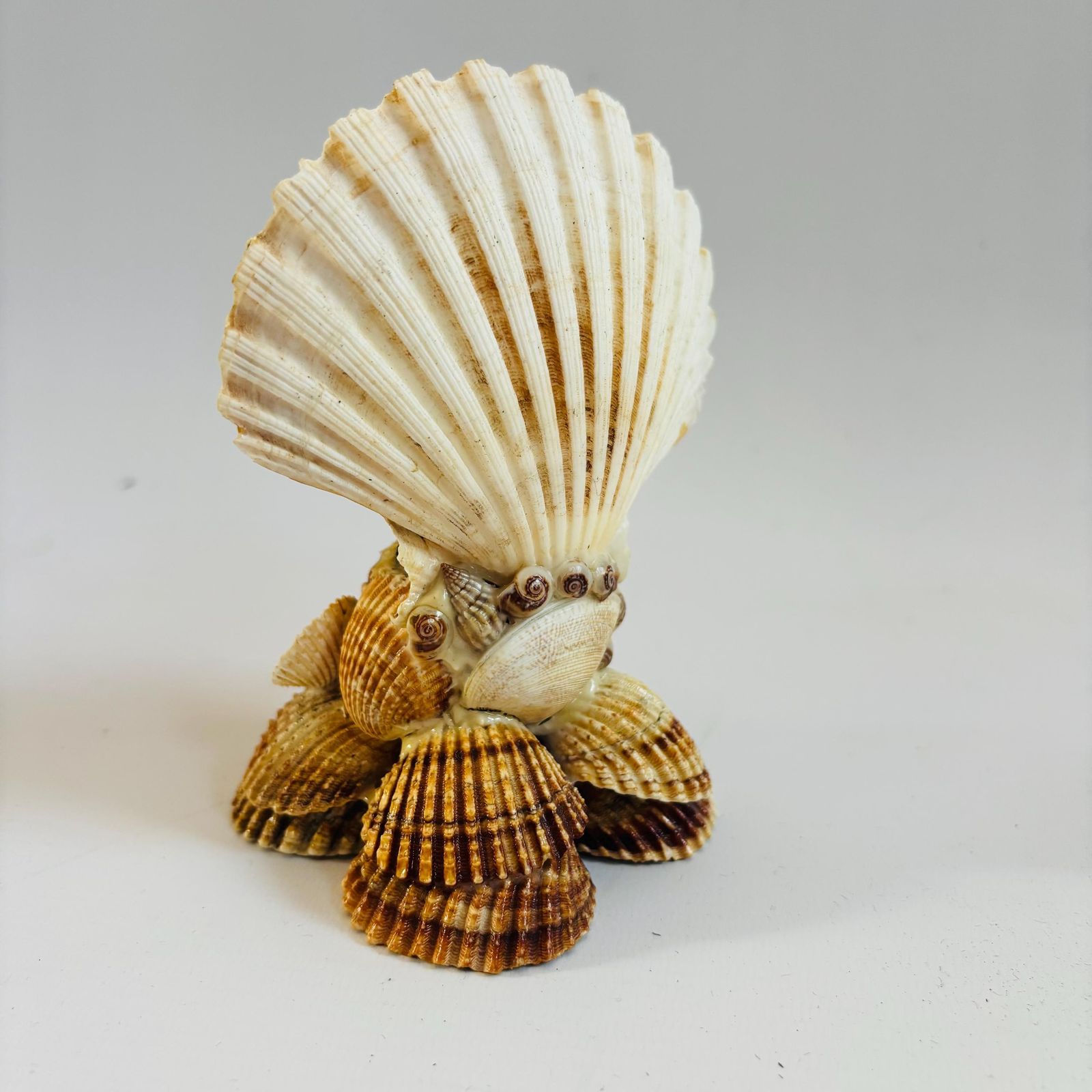 photo furniture Antique Shell Shrine: Our Lady Of Montserrat, Black Madonna Folk Art