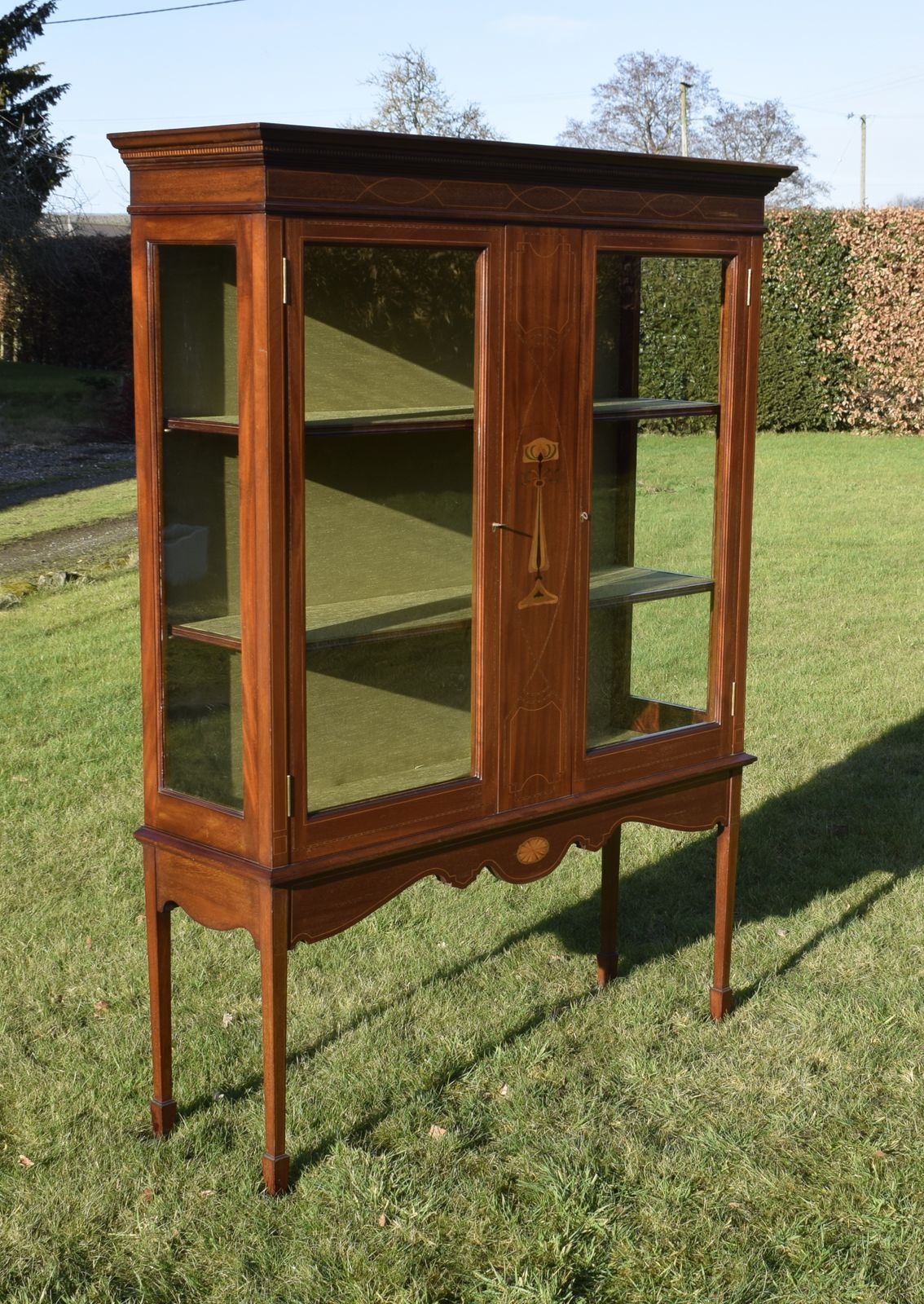 Early 20th Century Art Nouveau Display Cabinet photo furniture