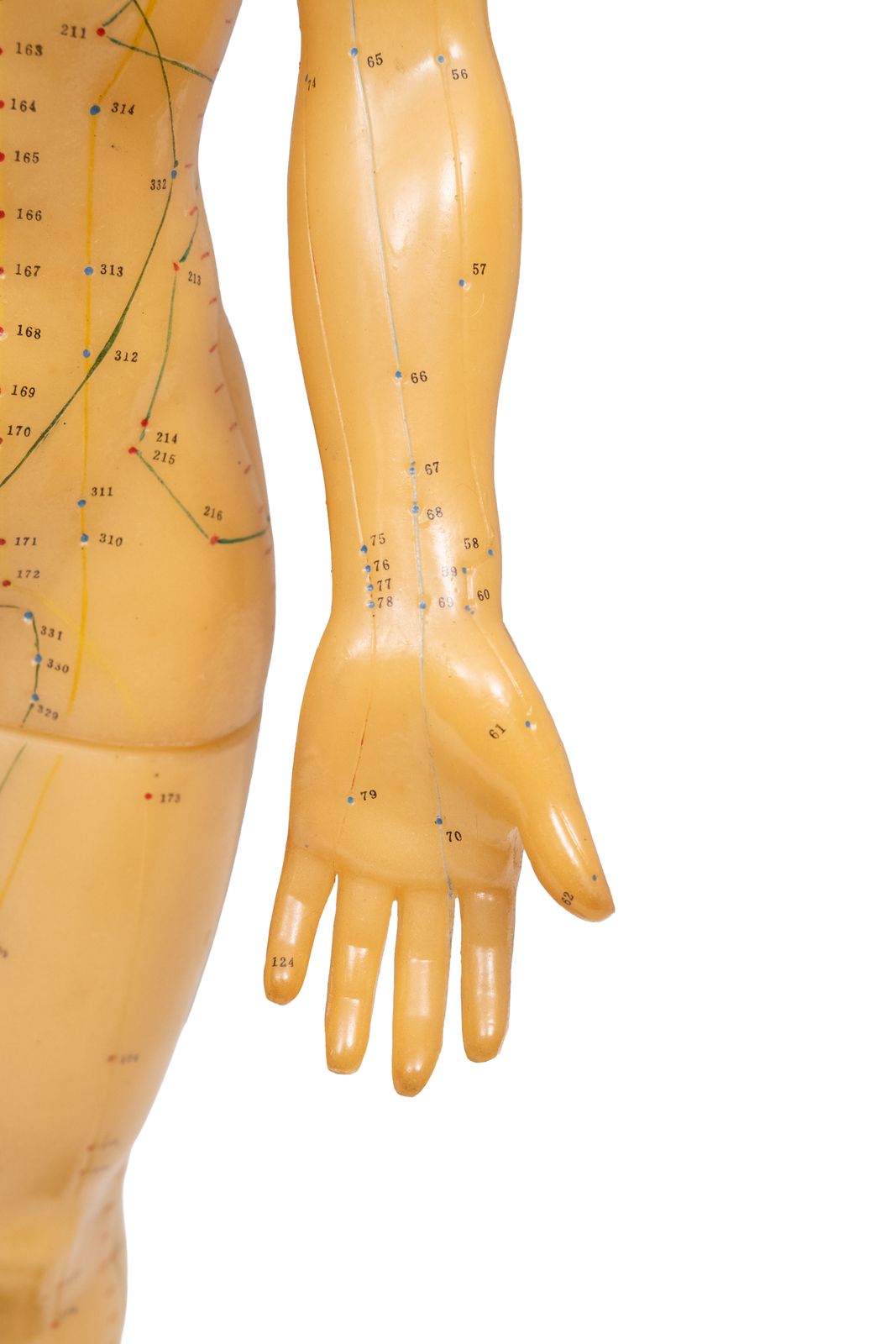 1950s Rubber Human Body For Acupuncture Model China photo Home Decor