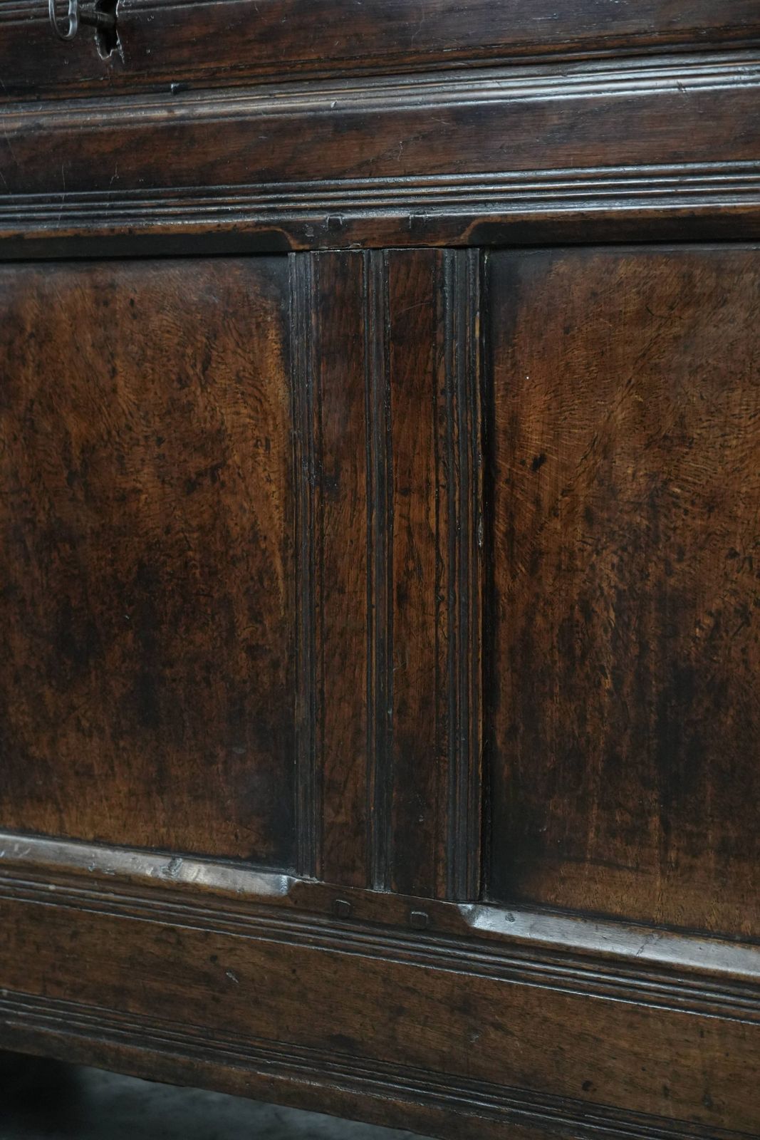 photo vinterior Grote Antieke Engelse Eikenhouten Kist Met Panelen Uit De 18e Eeuw