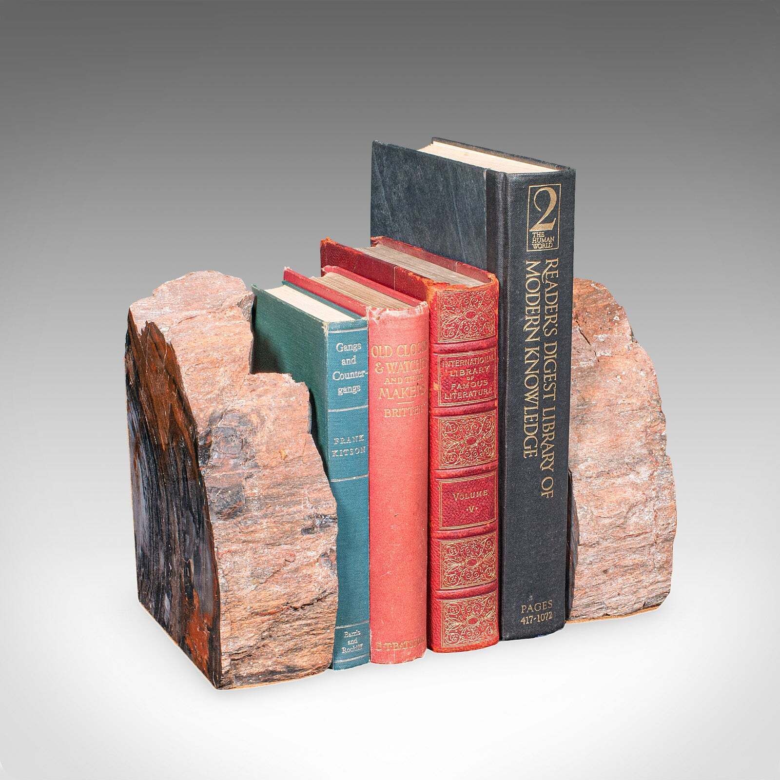 Pair Of Prehistoric Large Volume Bookends, Petrified Wood, Book Rest, Geological photo furniture