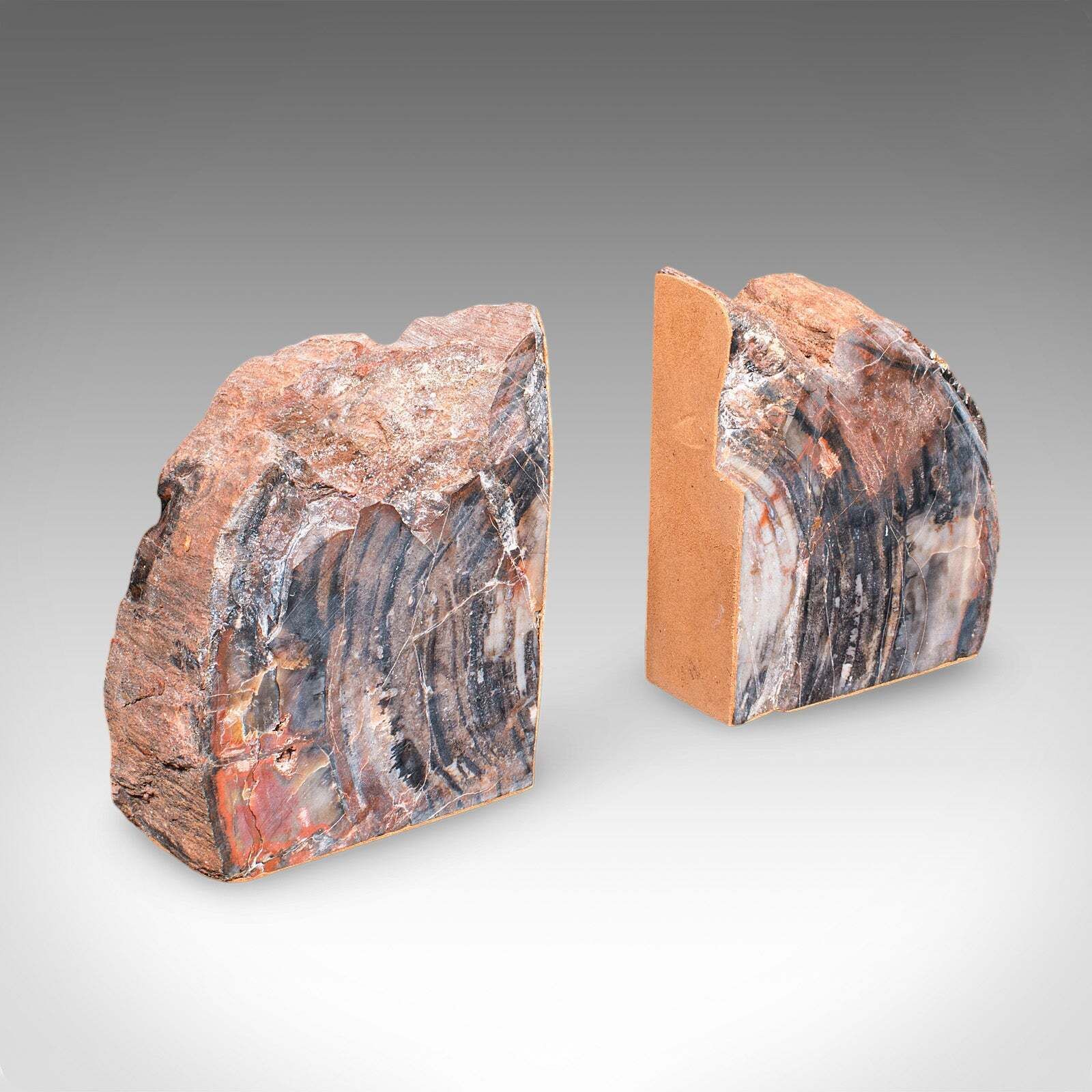 Pair Of Prehistoric Large Volume Bookends, Petrified Wood, Book Rest, Geological photo 912.0