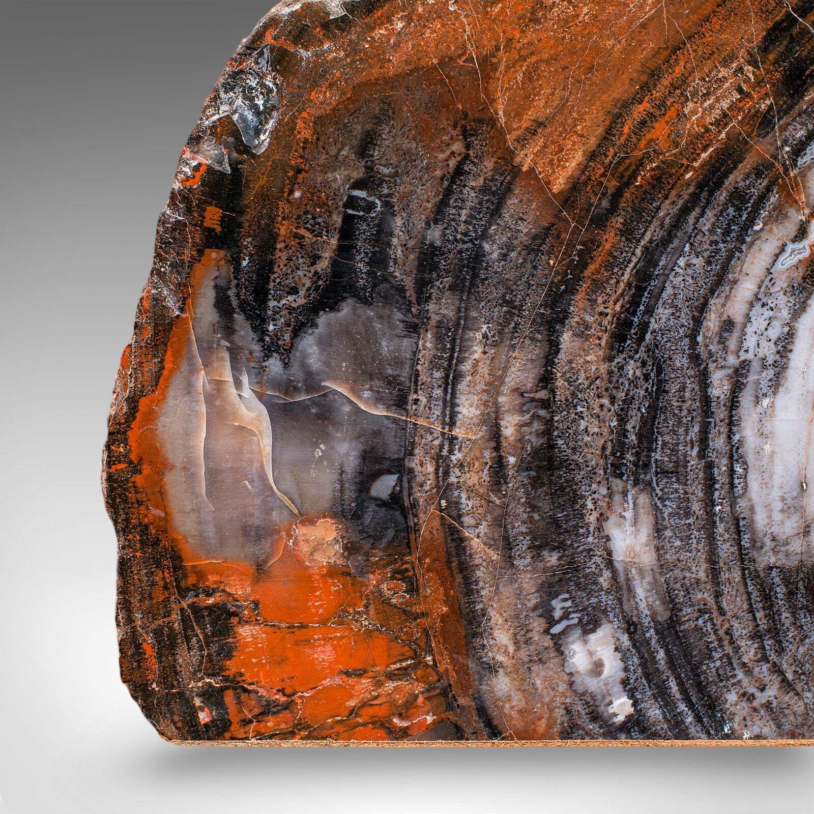 Pair Of Prehistoric Large Volume Bookends, Petrified Wood, Book Rest, Geological photo vintage