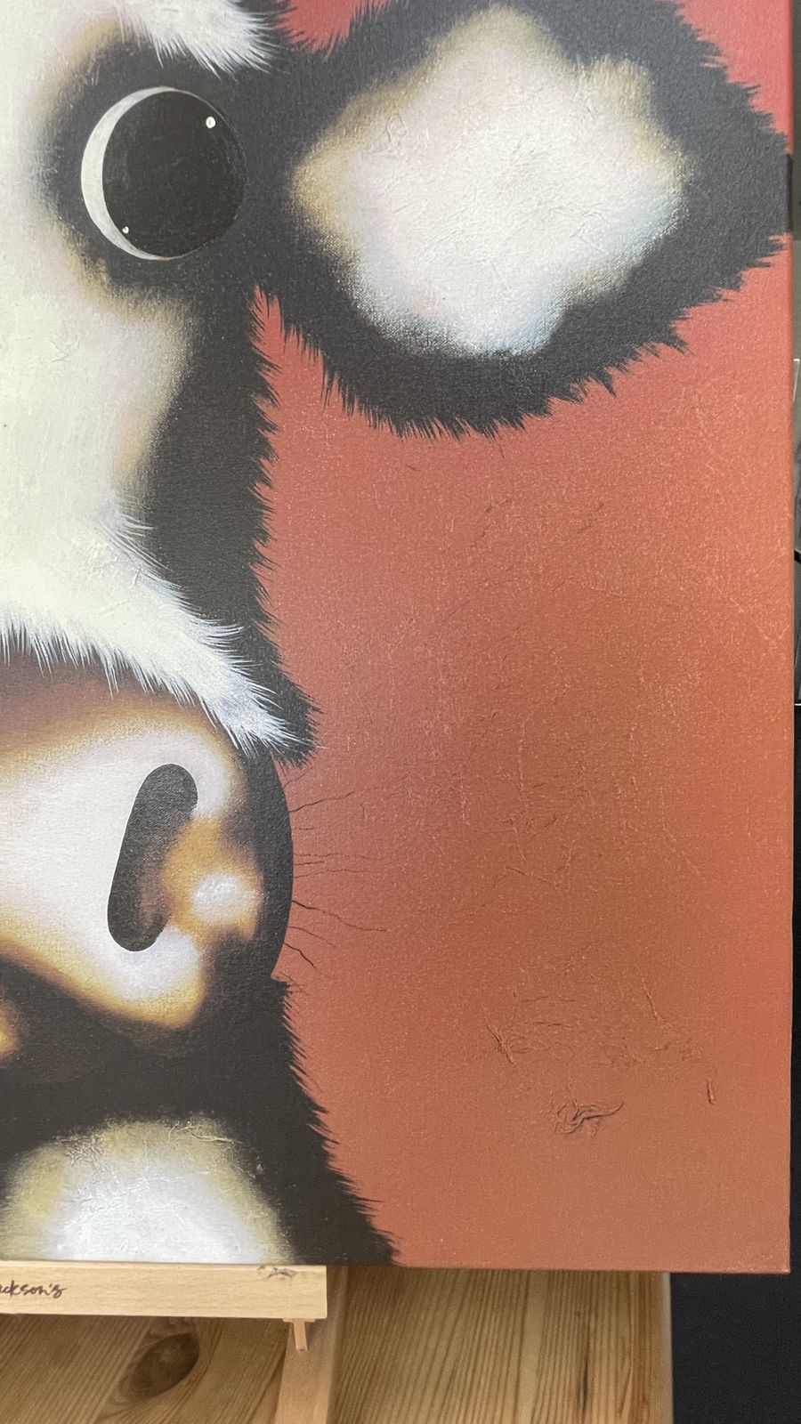 Art Caroline Shotton 'Maisy' Giclee On Canvas Edition N.93 photo
