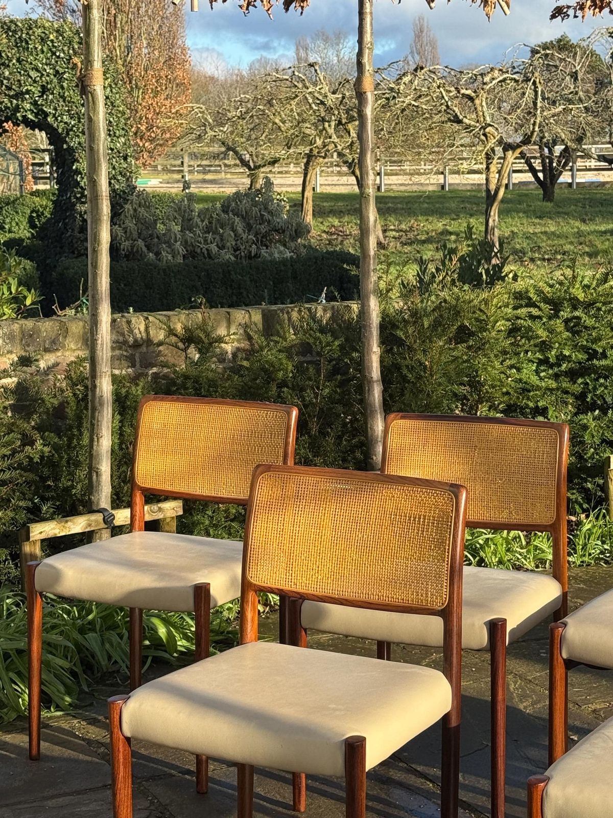 Danish Rosewood Set Of Eight Dining Chairs By Niels Otto Moller 1960. photo vintage