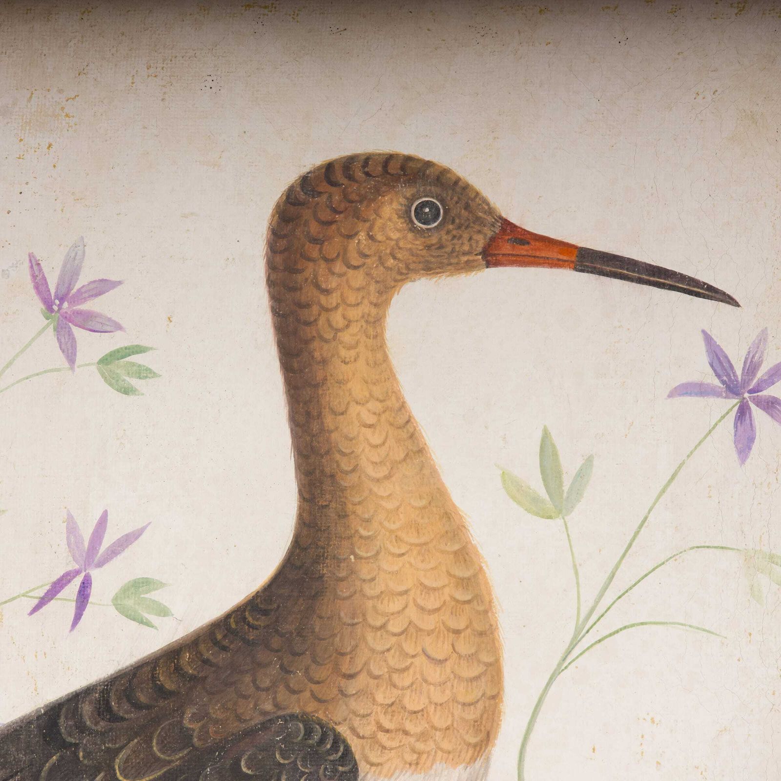 Art Big Birds photo