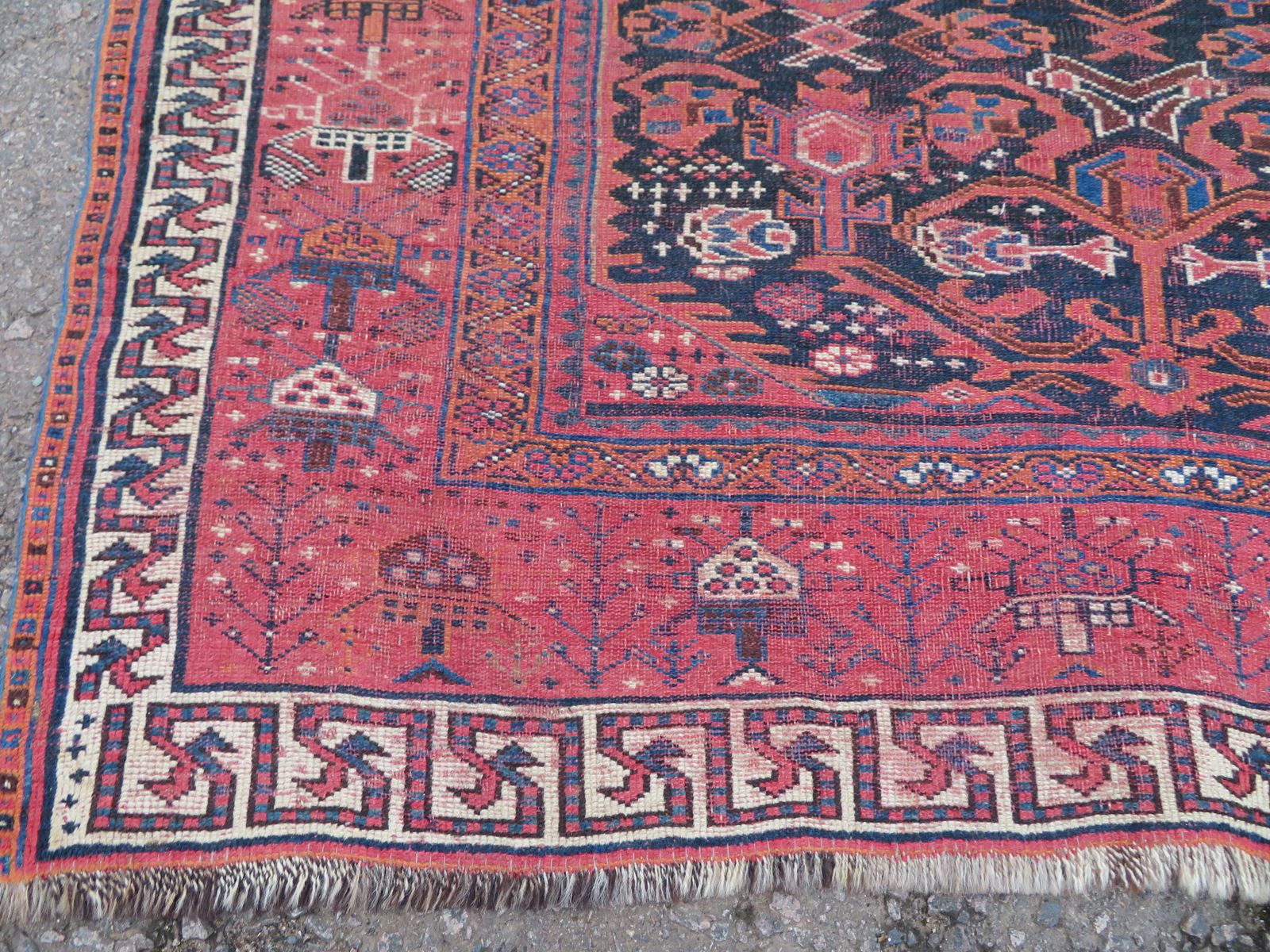 photo for sale Rare Antique Bakhtiari Tribal Village Carpet. 300cm X 169cm.