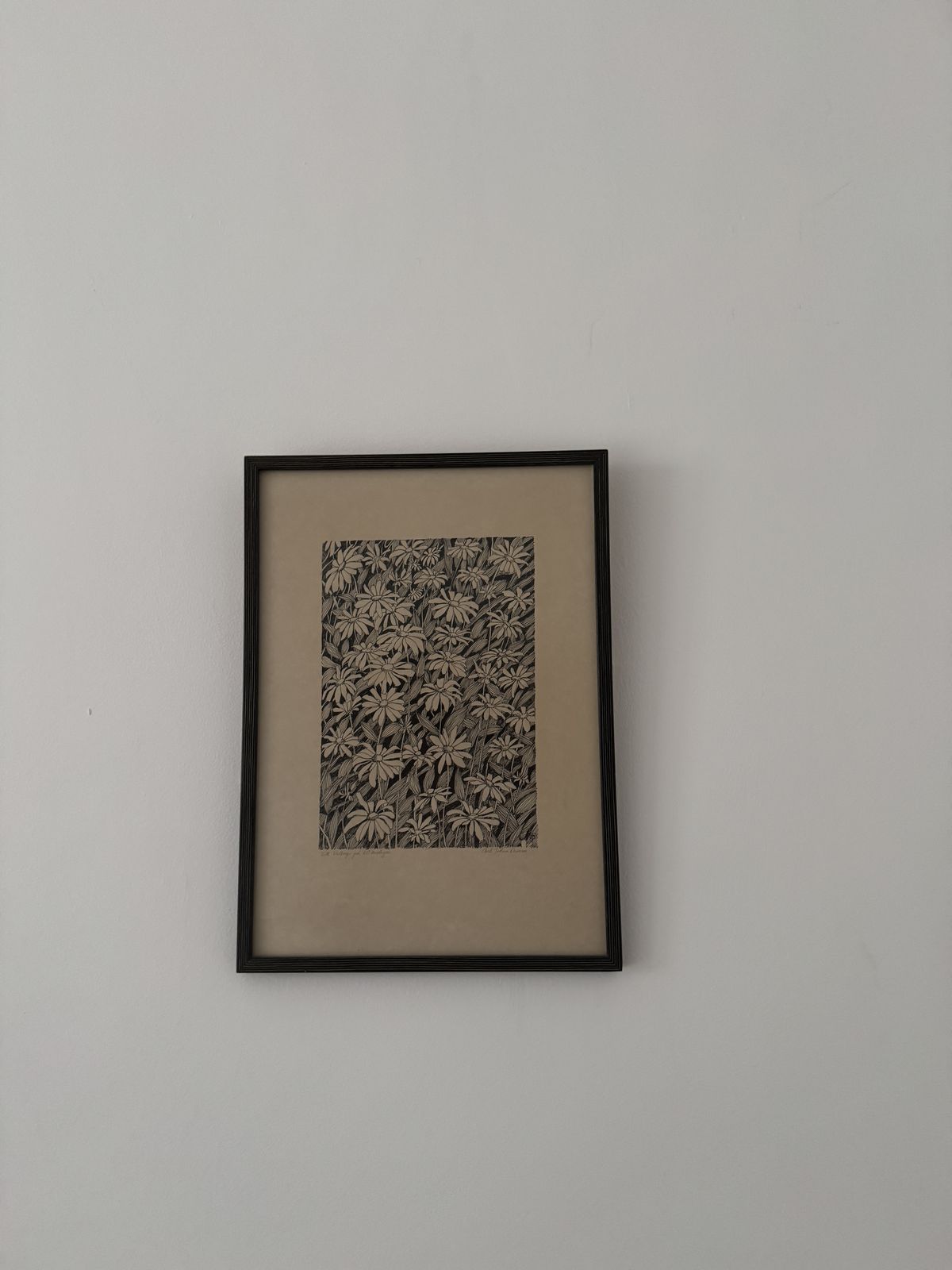 Till Valborg På 60 årsdagen   Daisies, Original Ink Drawing Carl  Johan Damm photo Art