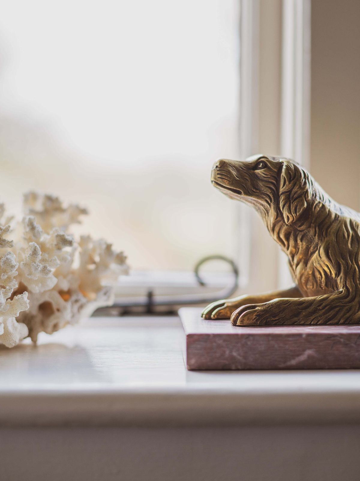 Art A 19th Century Gilt Bronze Study Of A Reclining Labrador Dog On A Rouge Marble Base photo
