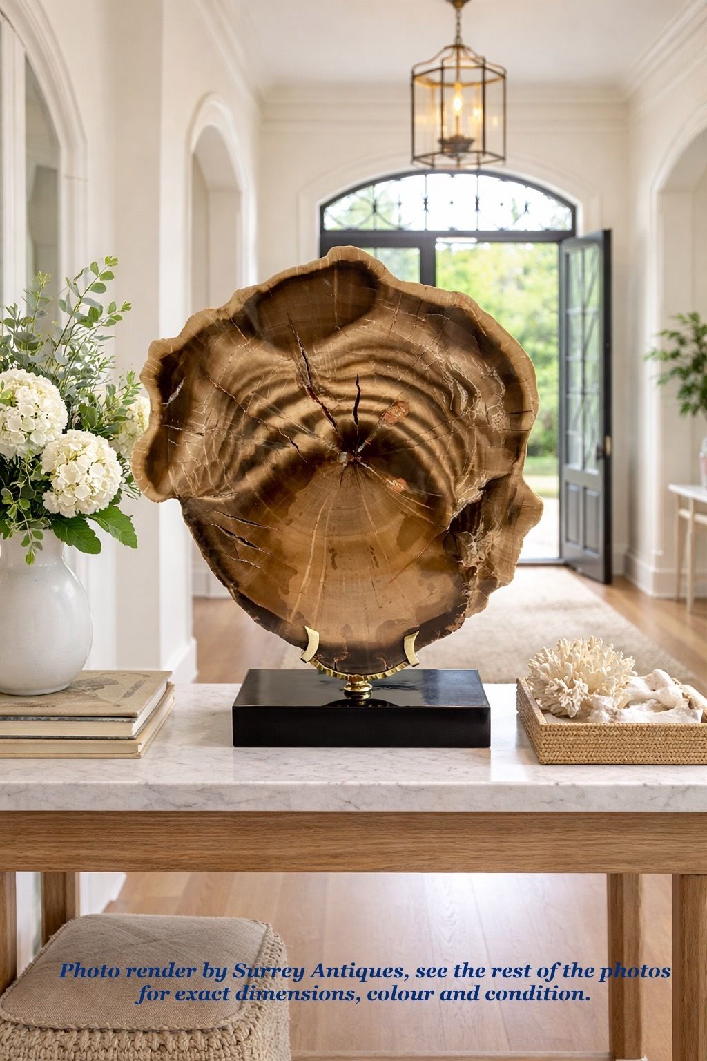 A Large Fossilised Or Petrified Wood Specimen, Polished And Mounted On A Bespoke Stand, Circa 120 To 240 Million Years Old photo buy