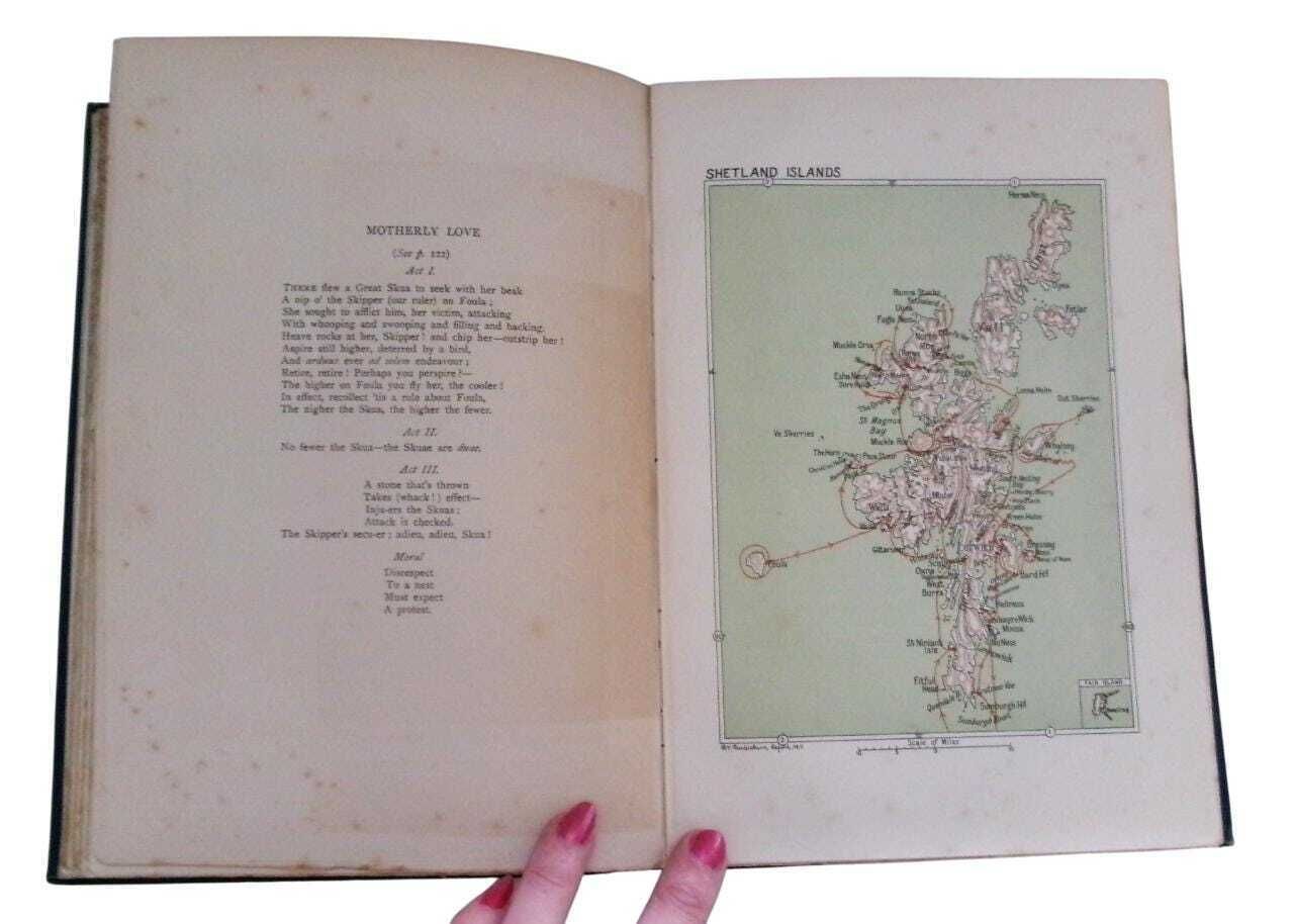 1911 Yachting Travelogue Log Of The Blue Dragon II, Orkney & Shetland, First Edition, Antique Travel photo buy