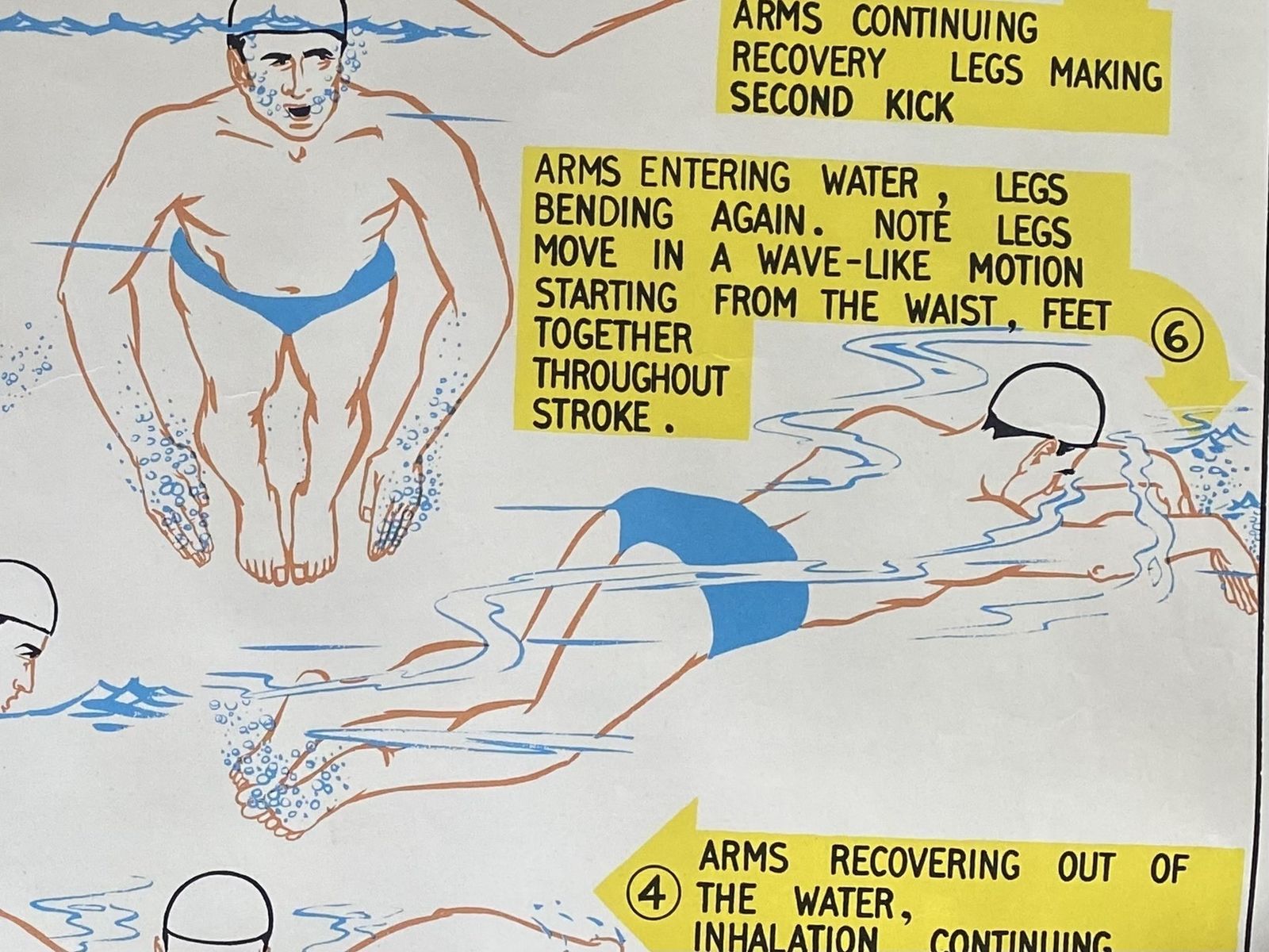 Vintage 1950s Swimming Association Poster Sponsored By Bovril. Dolphin. photo furniture
