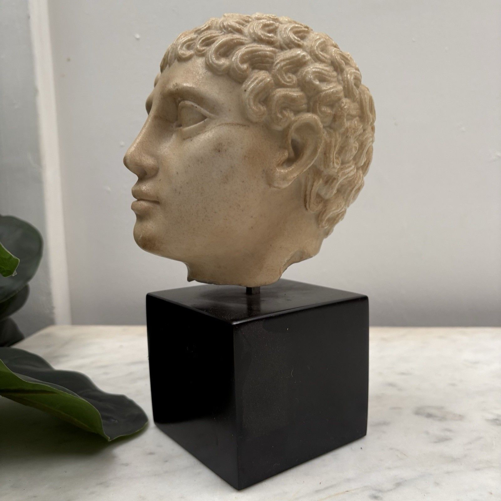 Rare Brooklyn Museum / Mma Marble Bust Statue Of A Hellenistic Young Youth photo for sale