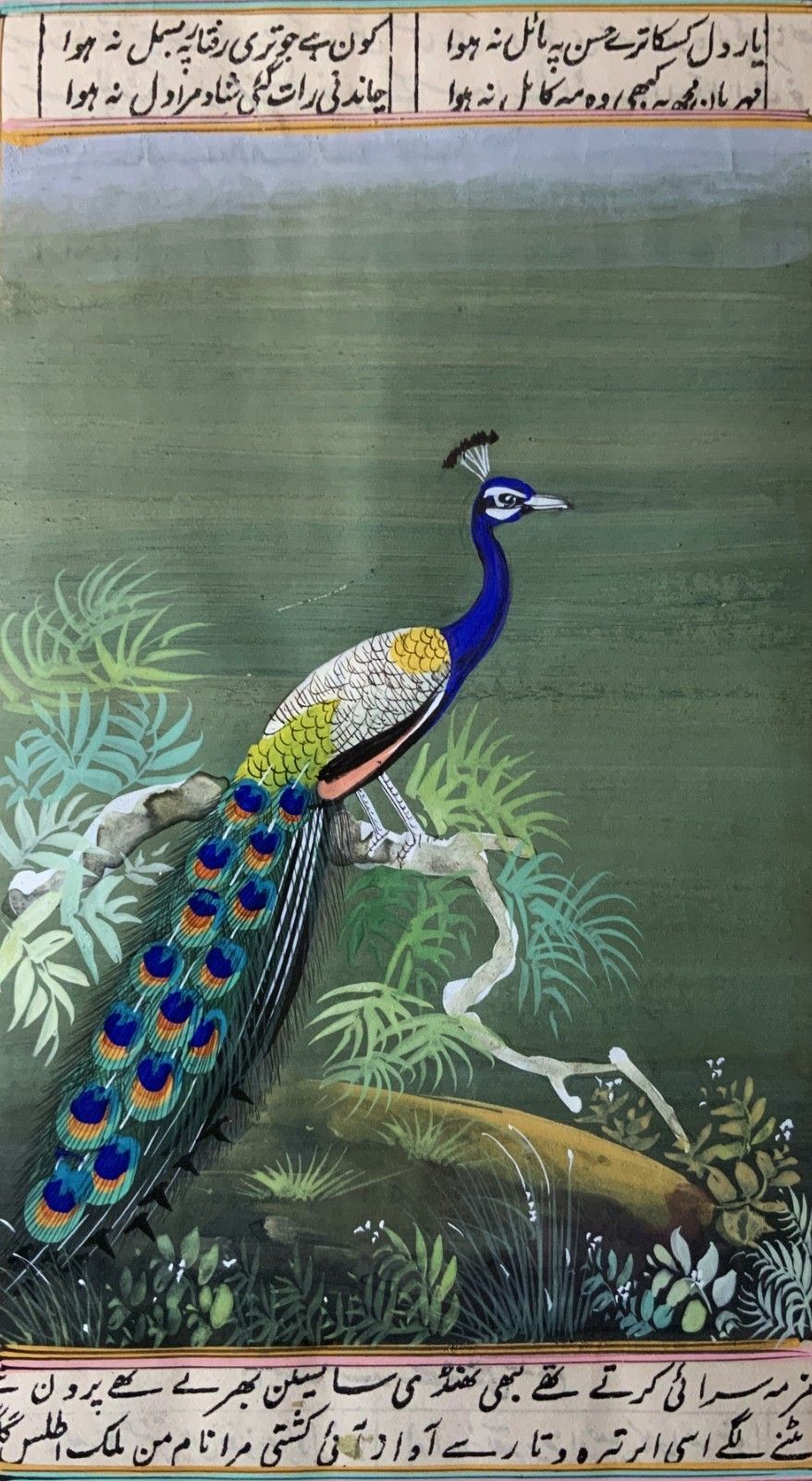 Charming 19thc Indian Mughal School Peacock Watercolour Painting With Scripture photo for sale