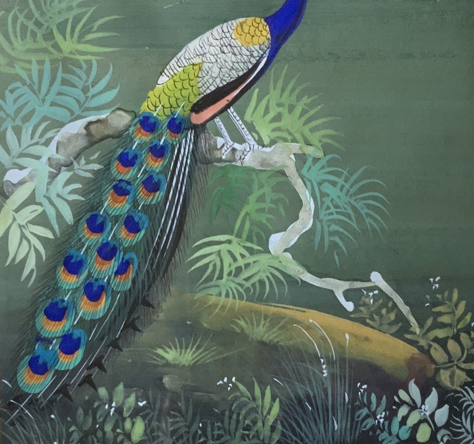 photo furniture Charming 19thc Indian Mughal School Peacock Watercolour Painting With Scripture
