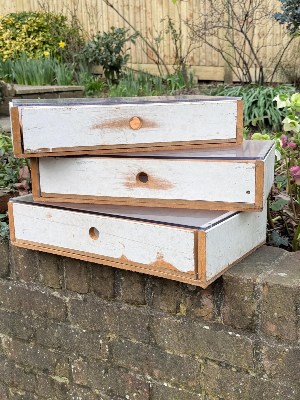 Large Vintage Utilitarian Industrial Wooden Drawer Display Units With Frosted Acrylic Tops, Circa 70s 80s photo for sale