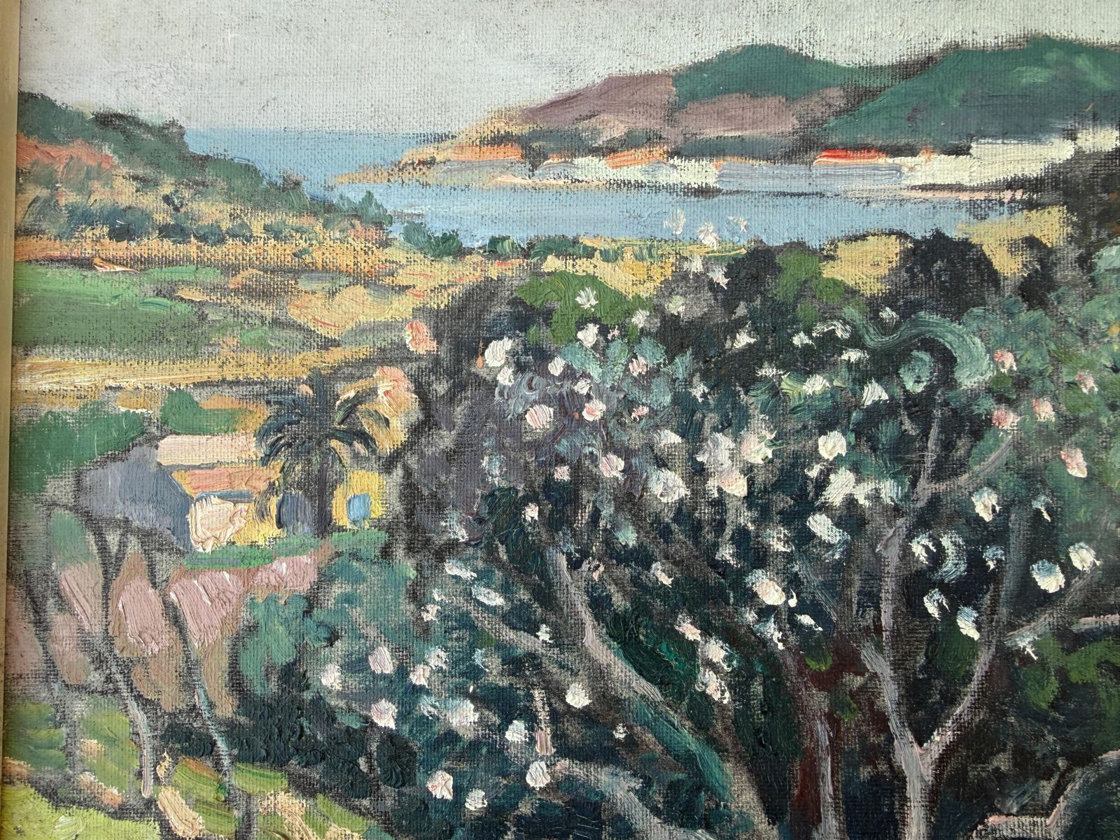 Rafael Duran Benet Oil Painting Mediterranean Landscape With Flowering Trees C.1980 photo buy