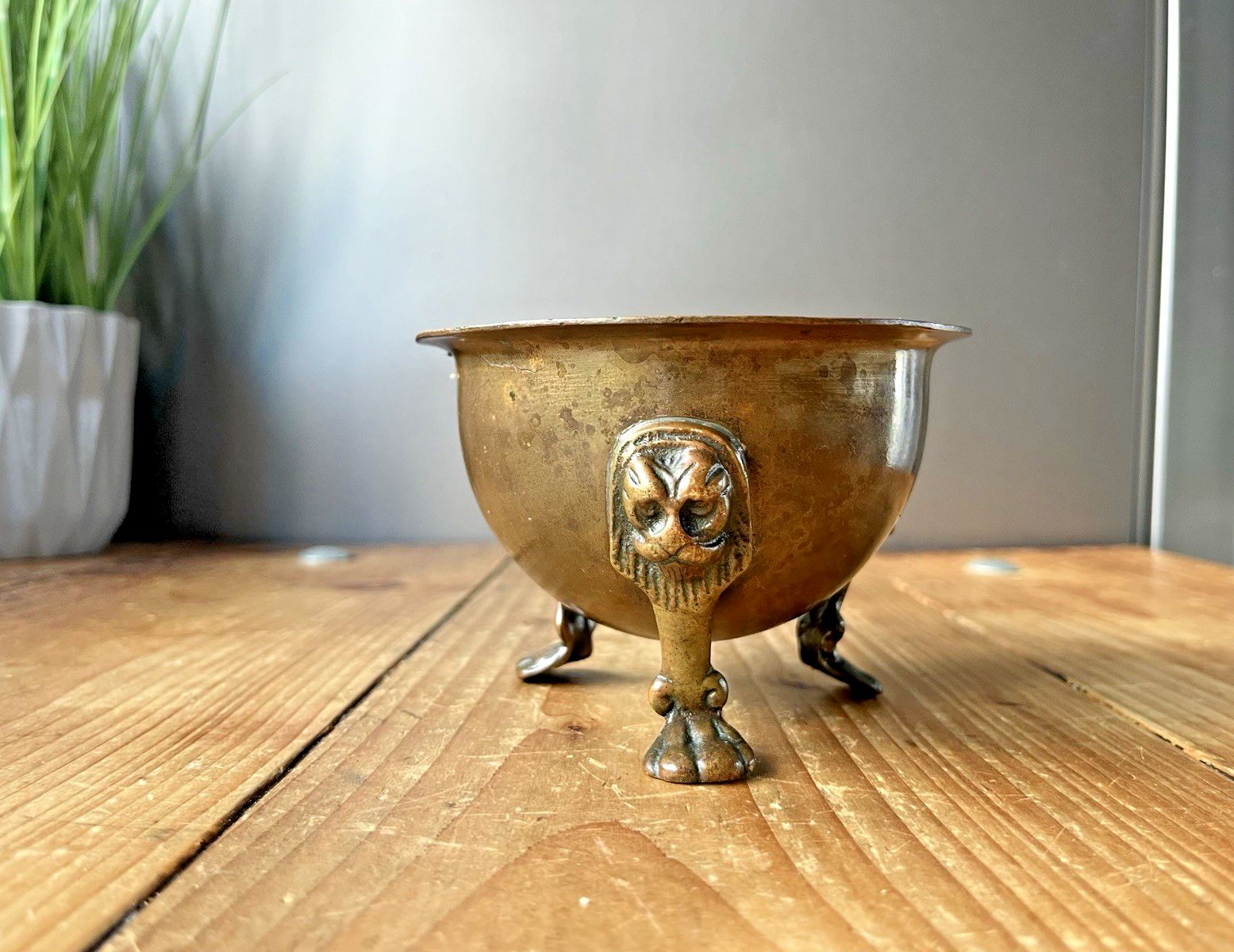 Antique 19th C Bronze Brass Monkey Mask Lion Footed Plant Pot Planter Cachepot photo buy
