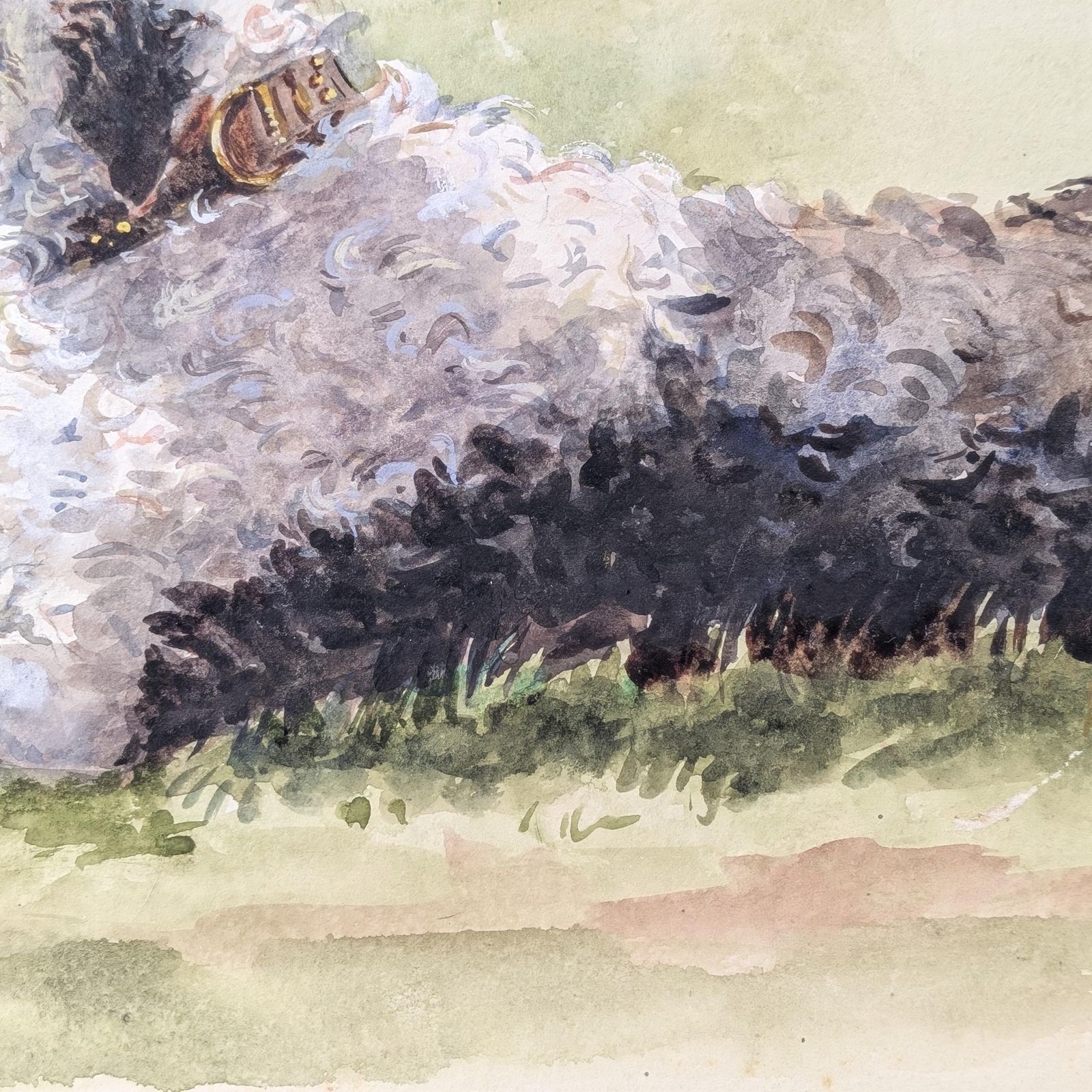 Large Mid Century Watercolor Sheepdog Portrait: Original 1930s Animal Painting On Textured Paper photo vintage