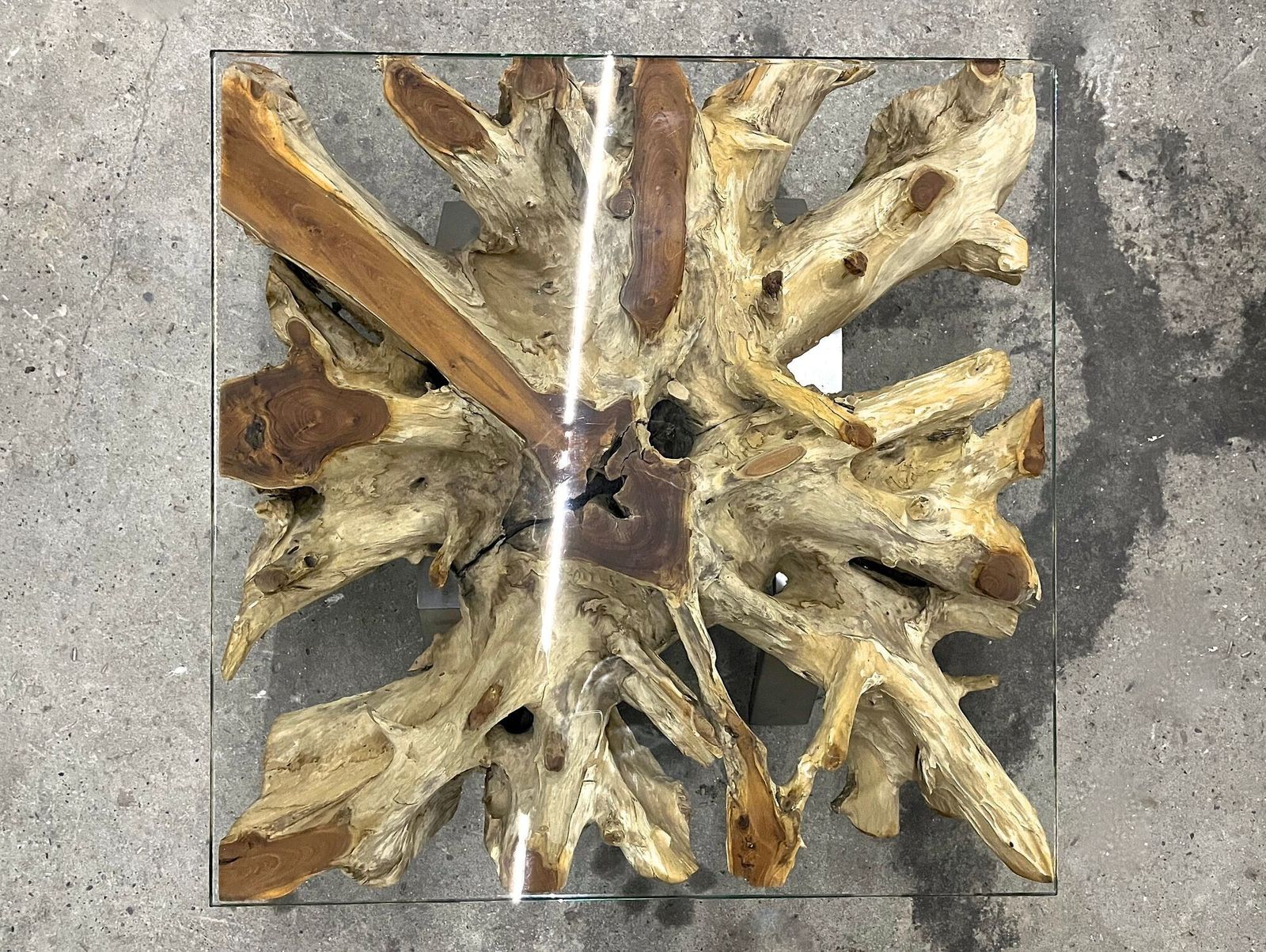 21st Century Organic Modern Teak Root Coffee/ Table, Glass, Idn 2024 photo furniture