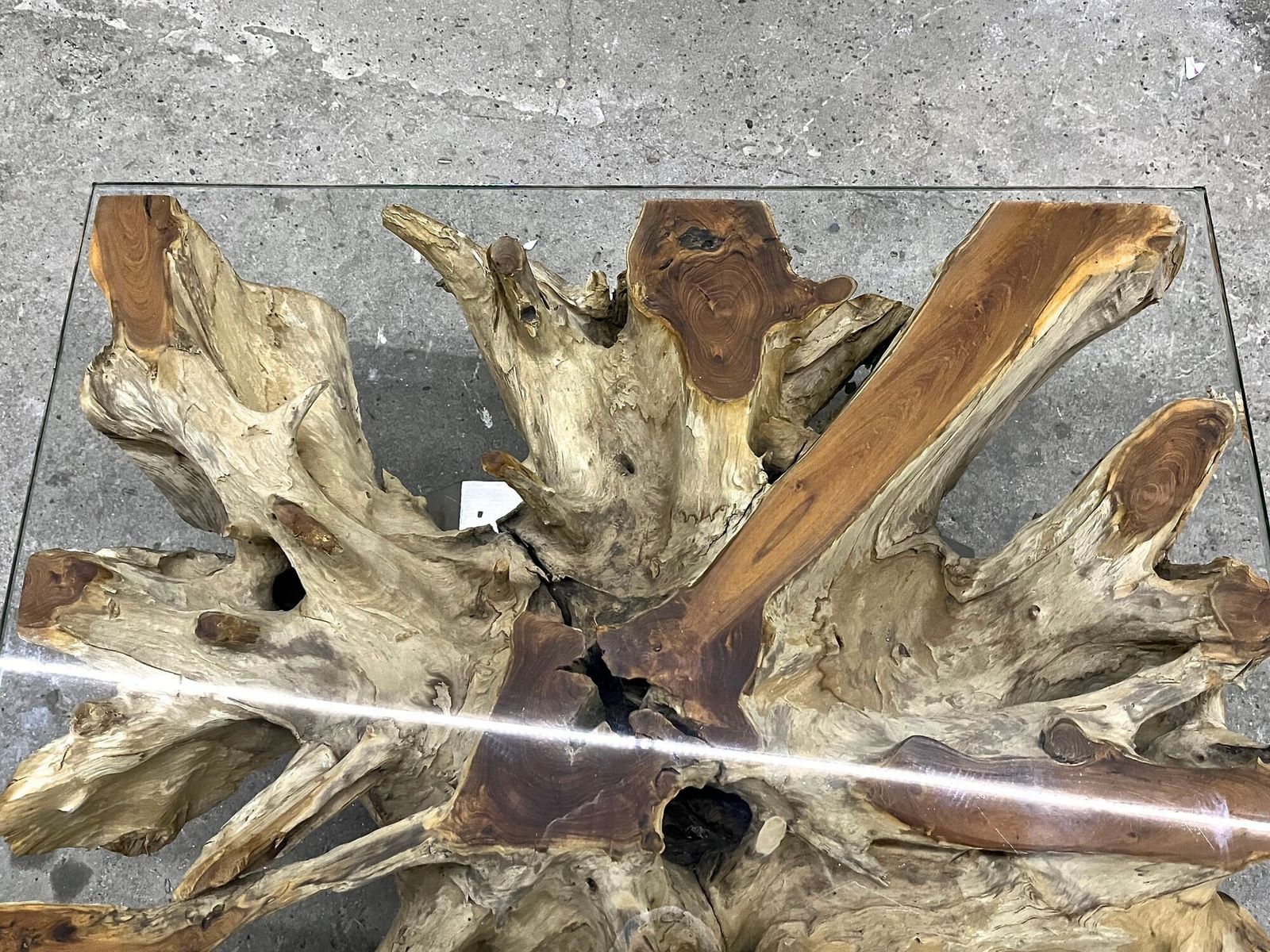 Furniture 21st Century Organic Modern Teak Root Coffee/ Table, Glass, Idn 2024 photo